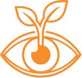 Supports healthy visual development