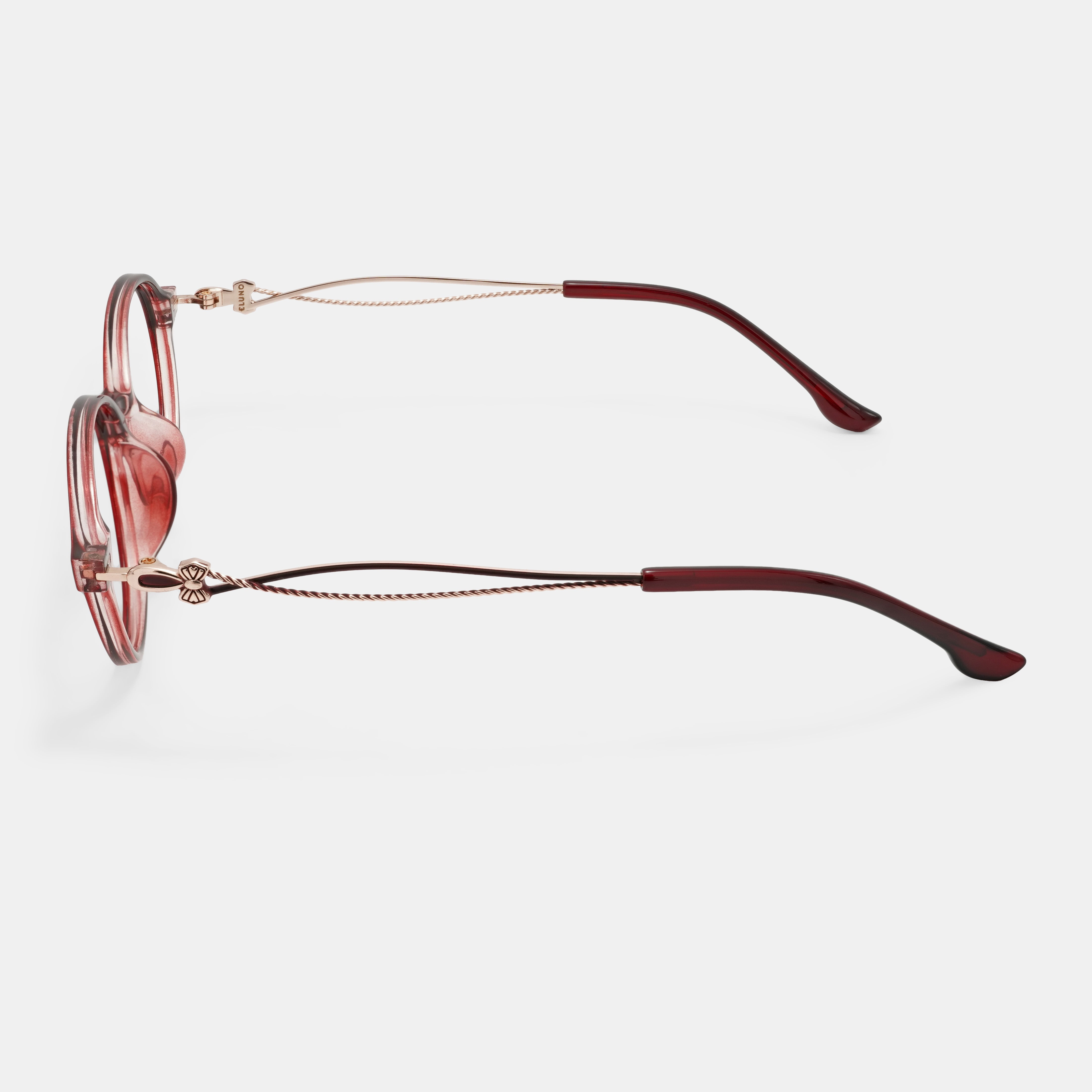 Stylish Spectacles