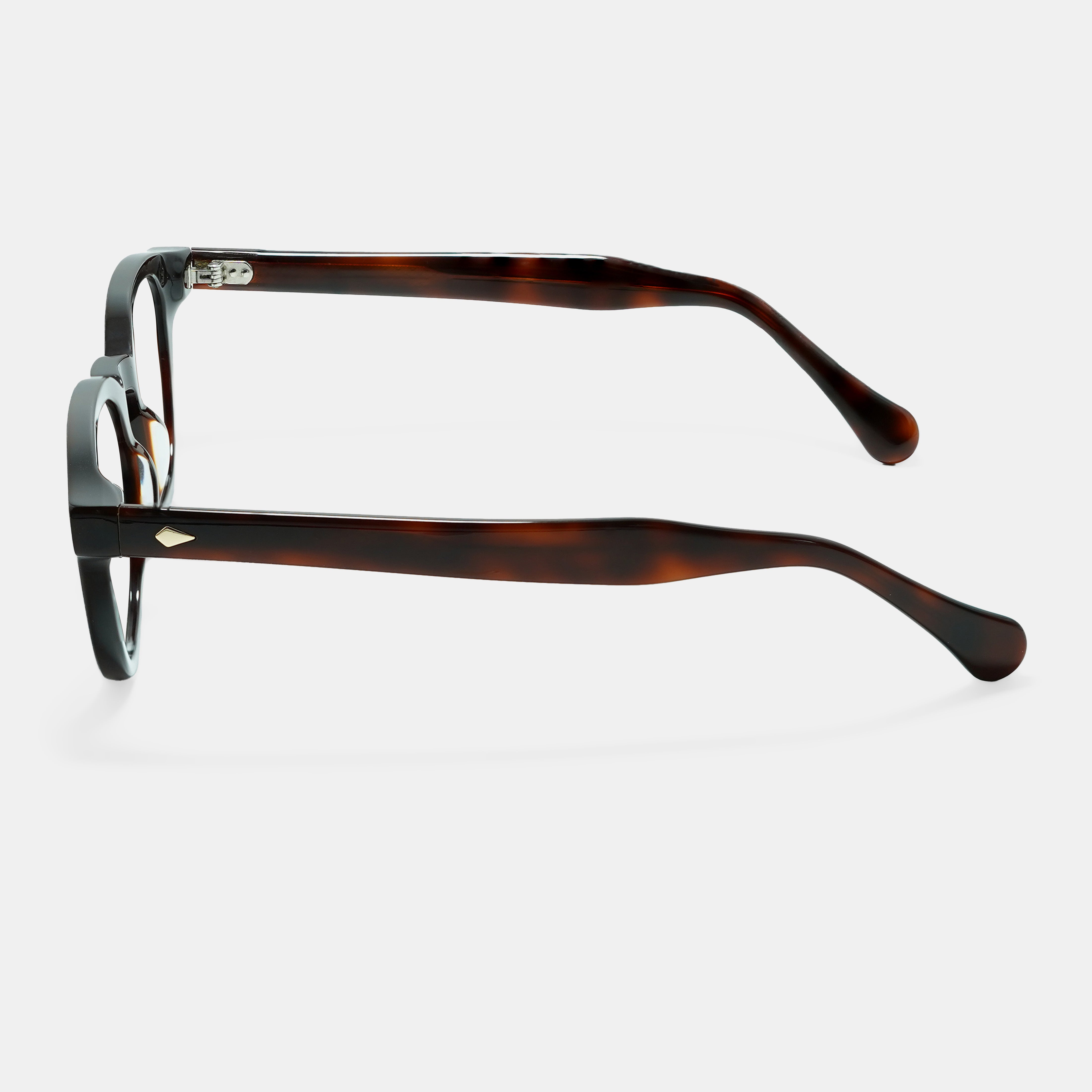 Brown Eyeglasses