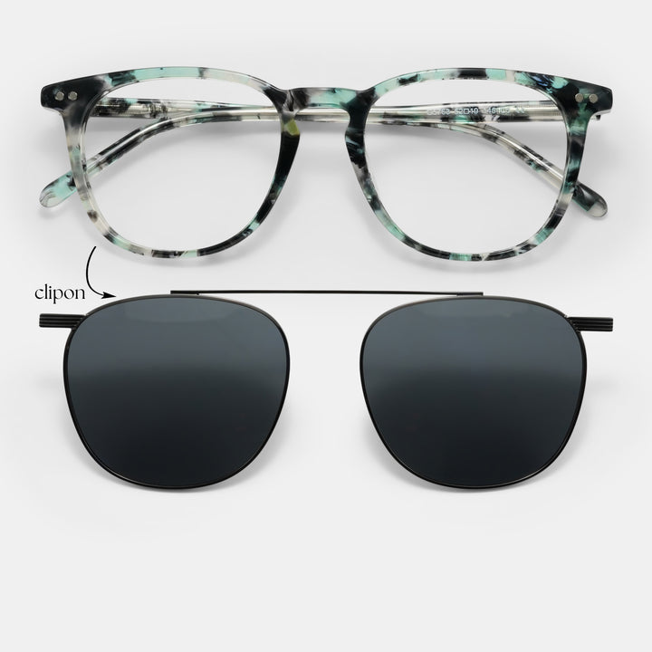 Tortoiseshell Frames