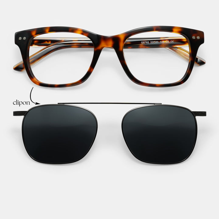 Tortoiseshell frames