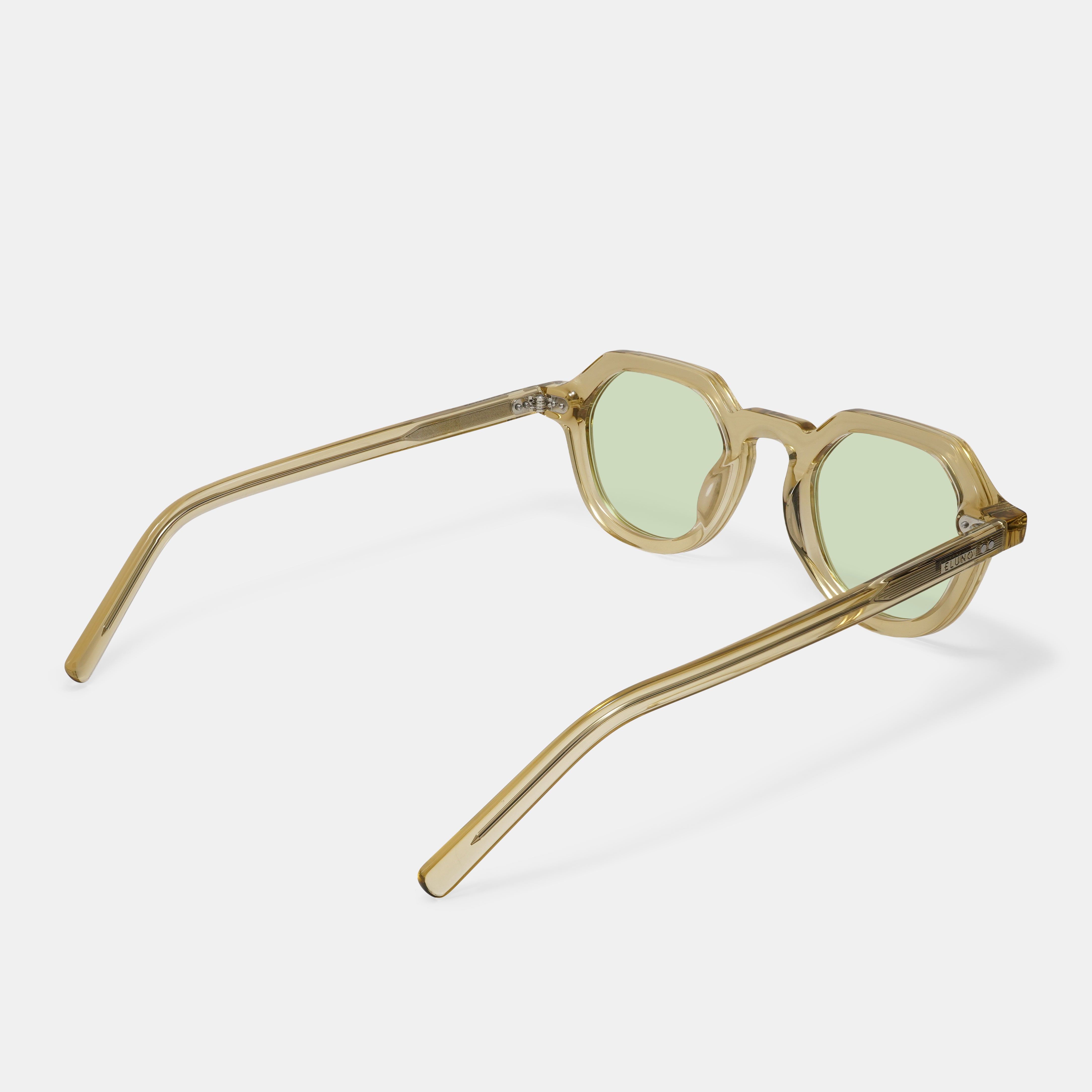 Brown Sunglasses