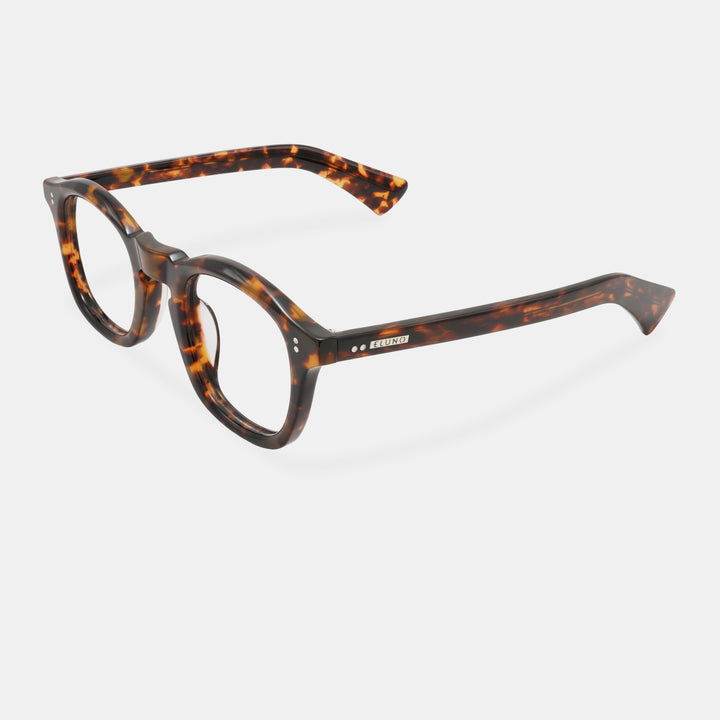 Tortoiseshell frames
