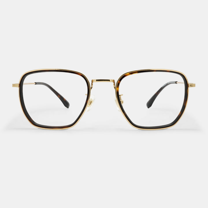 Tortoiseshell frames