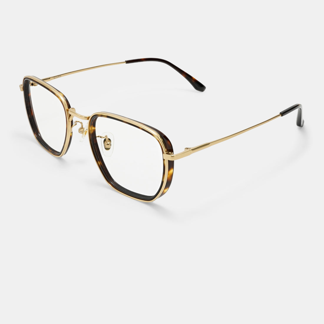Tortoiseshell frames