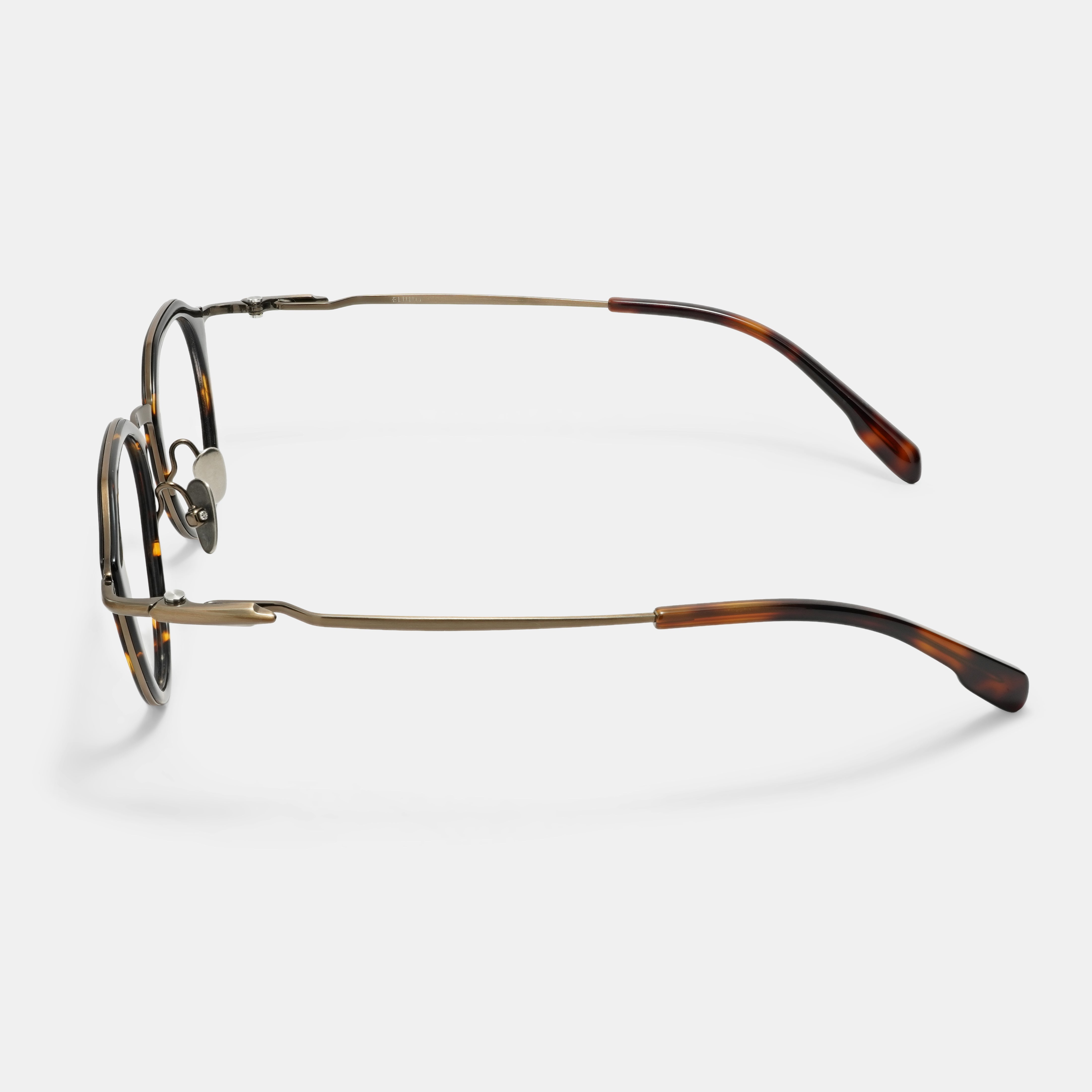 Tortoiseshell Spectacles