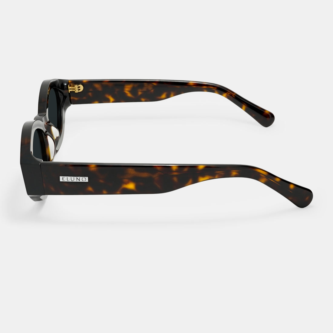 Tortoiseshell Sunglasses