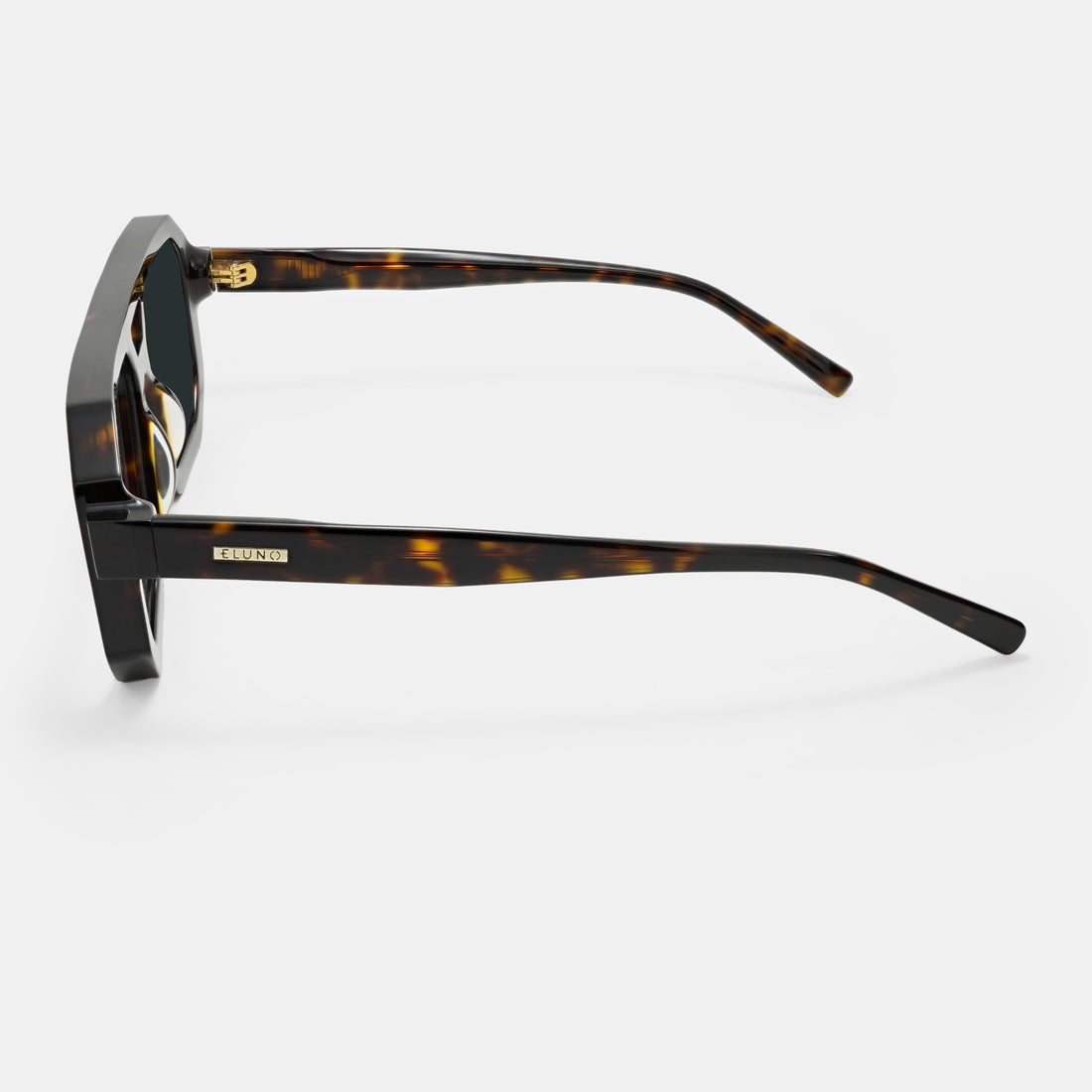 Tortoiseshell Sunglasses