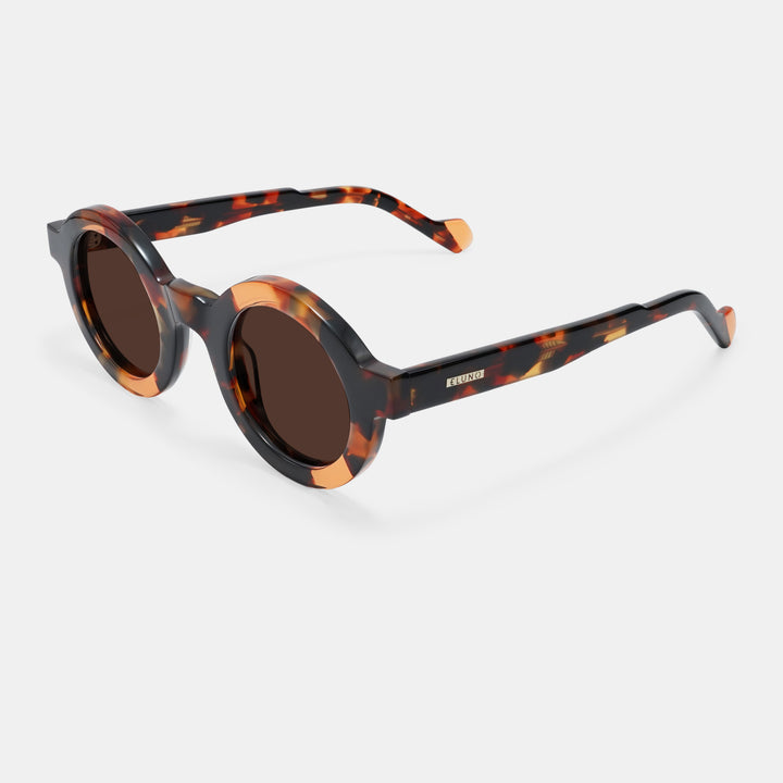 Tortoiseshell frames