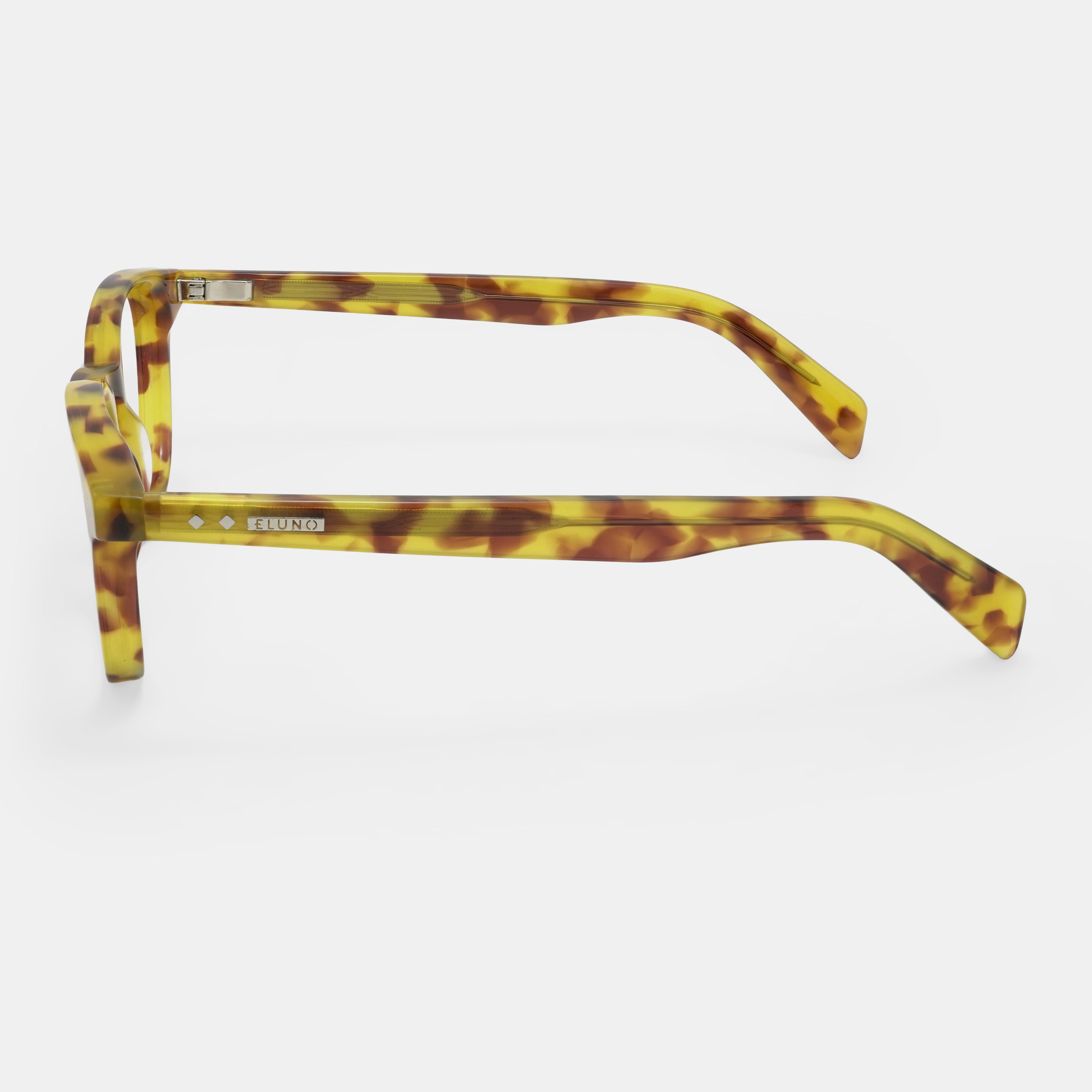 Tortoiseshell Eyewear