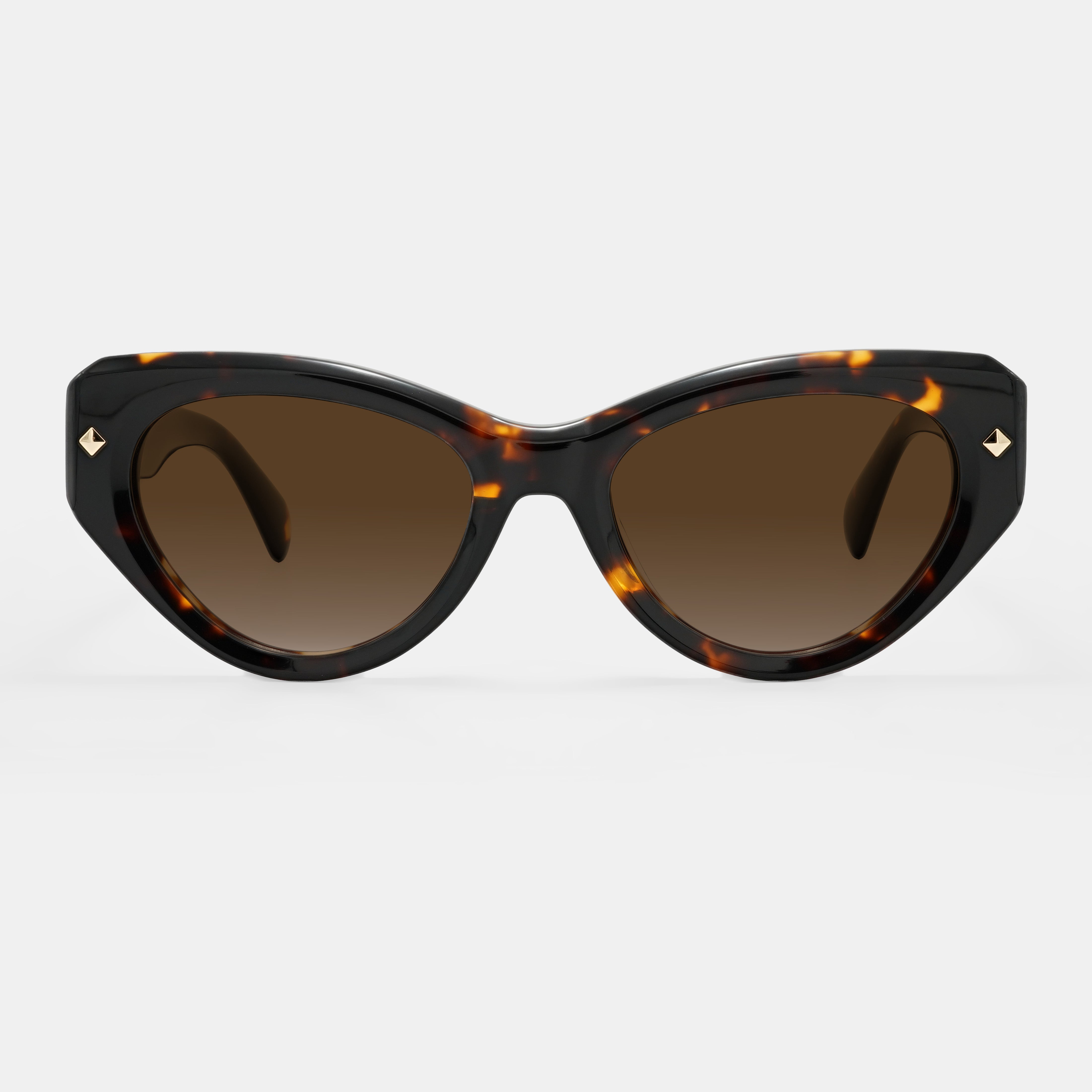 Tortoiseshell Frames