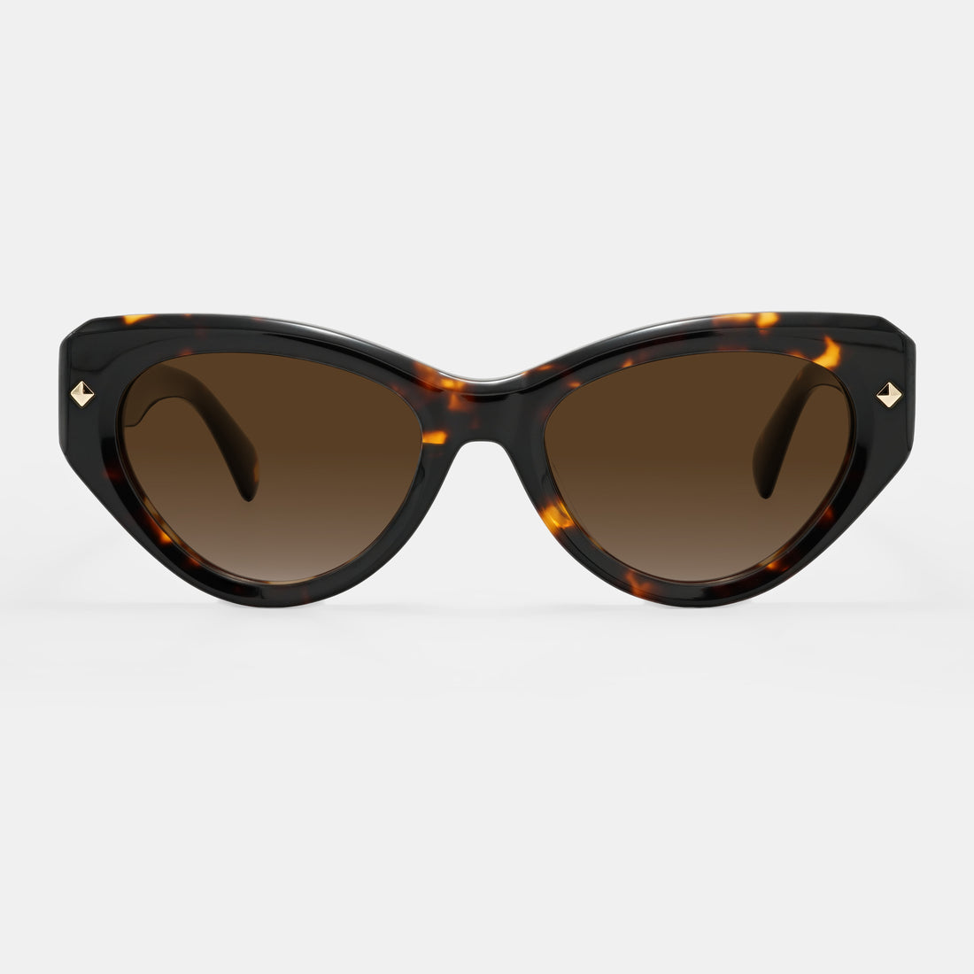 Tortoiseshell Frames
