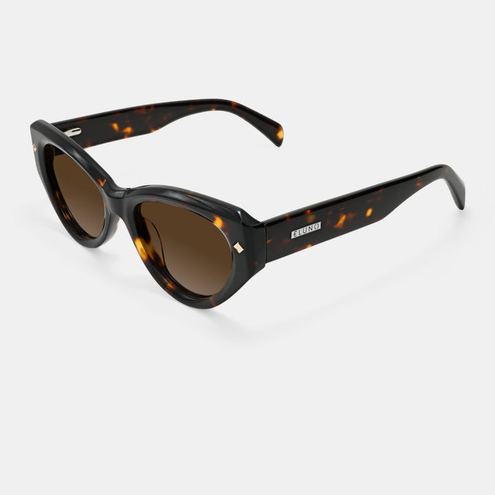 Tortoiseshell Frames