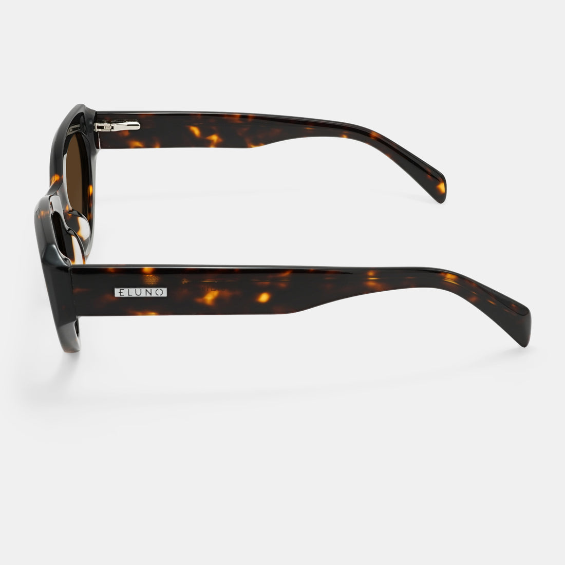Tortoiseshell Frames
