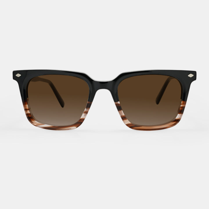 Brown Sunglasses