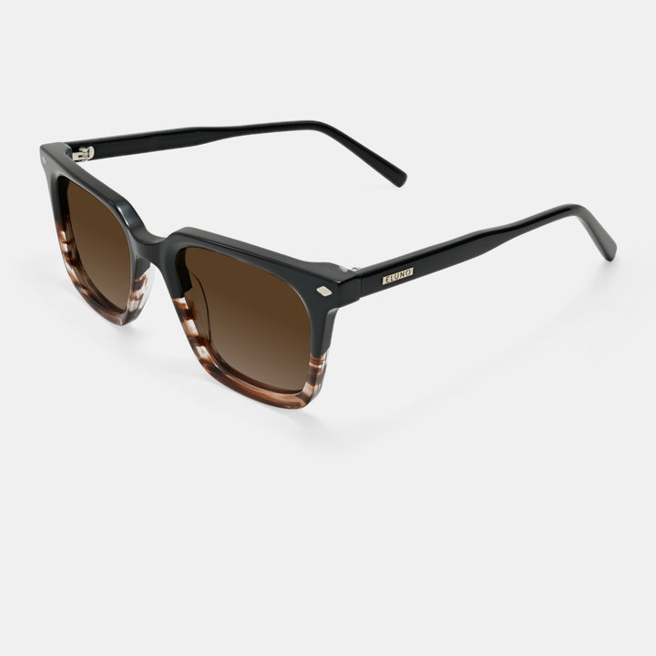 Brown Sunglasses