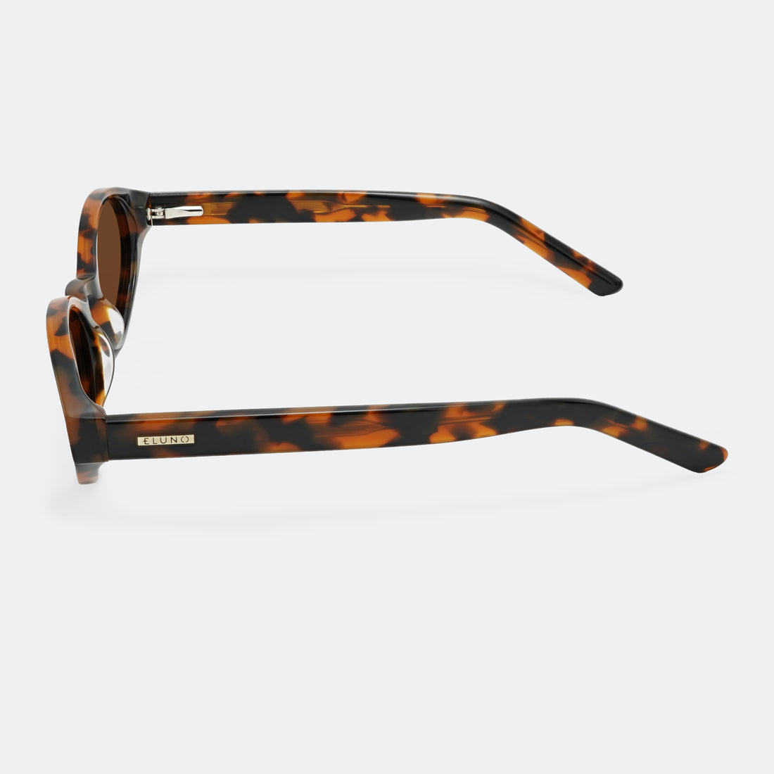 Tortoiseshell Sunglasses