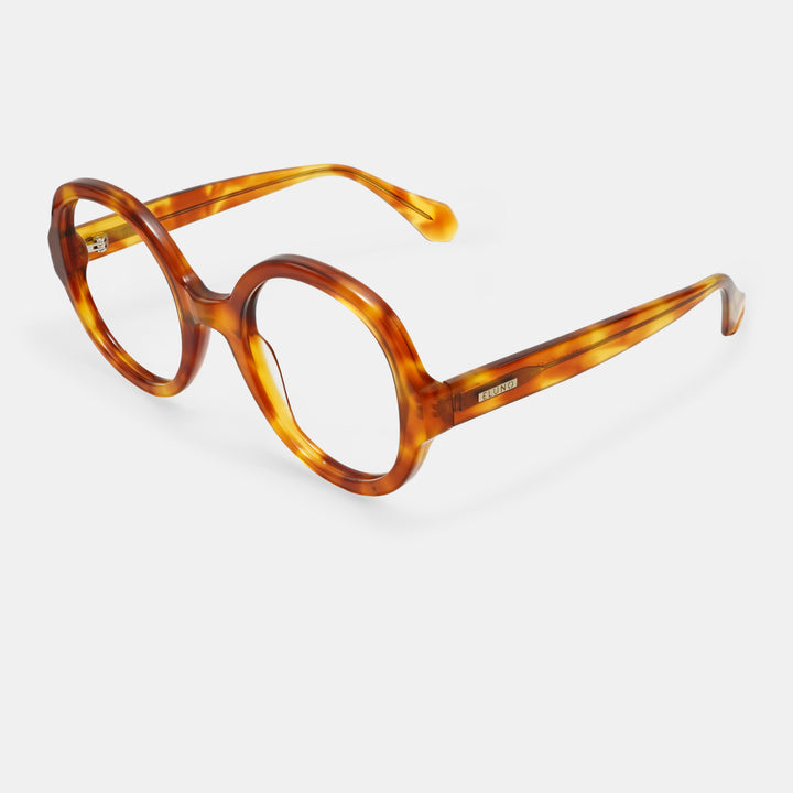 Tortoiseshell Eyeglasses