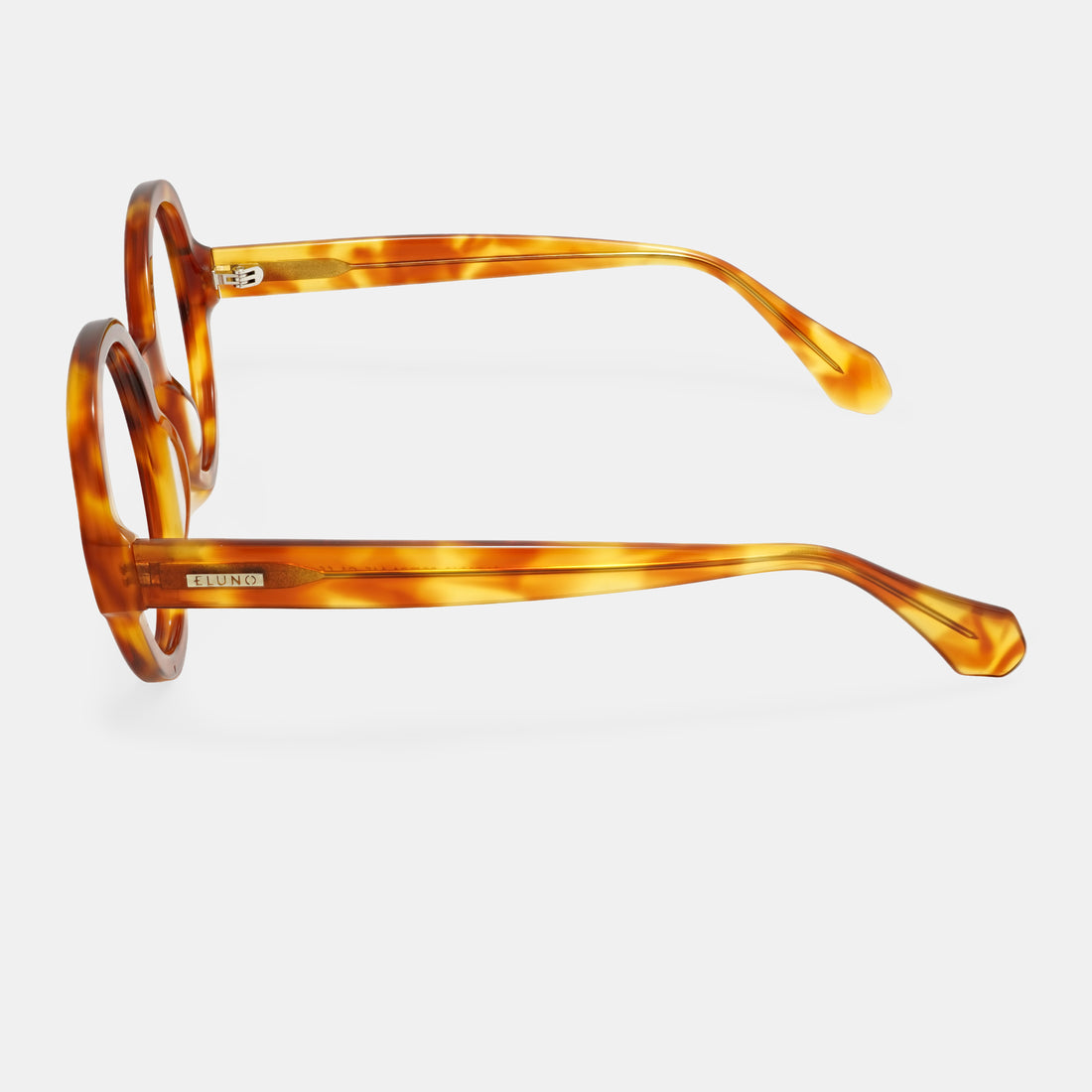 Tortoiseshell Eyeglasses