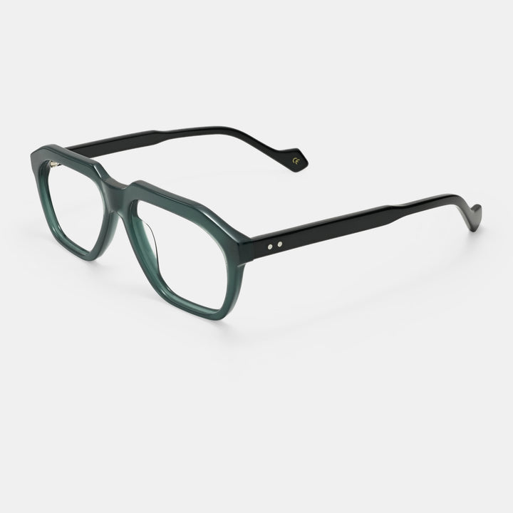 Stylish spectacles