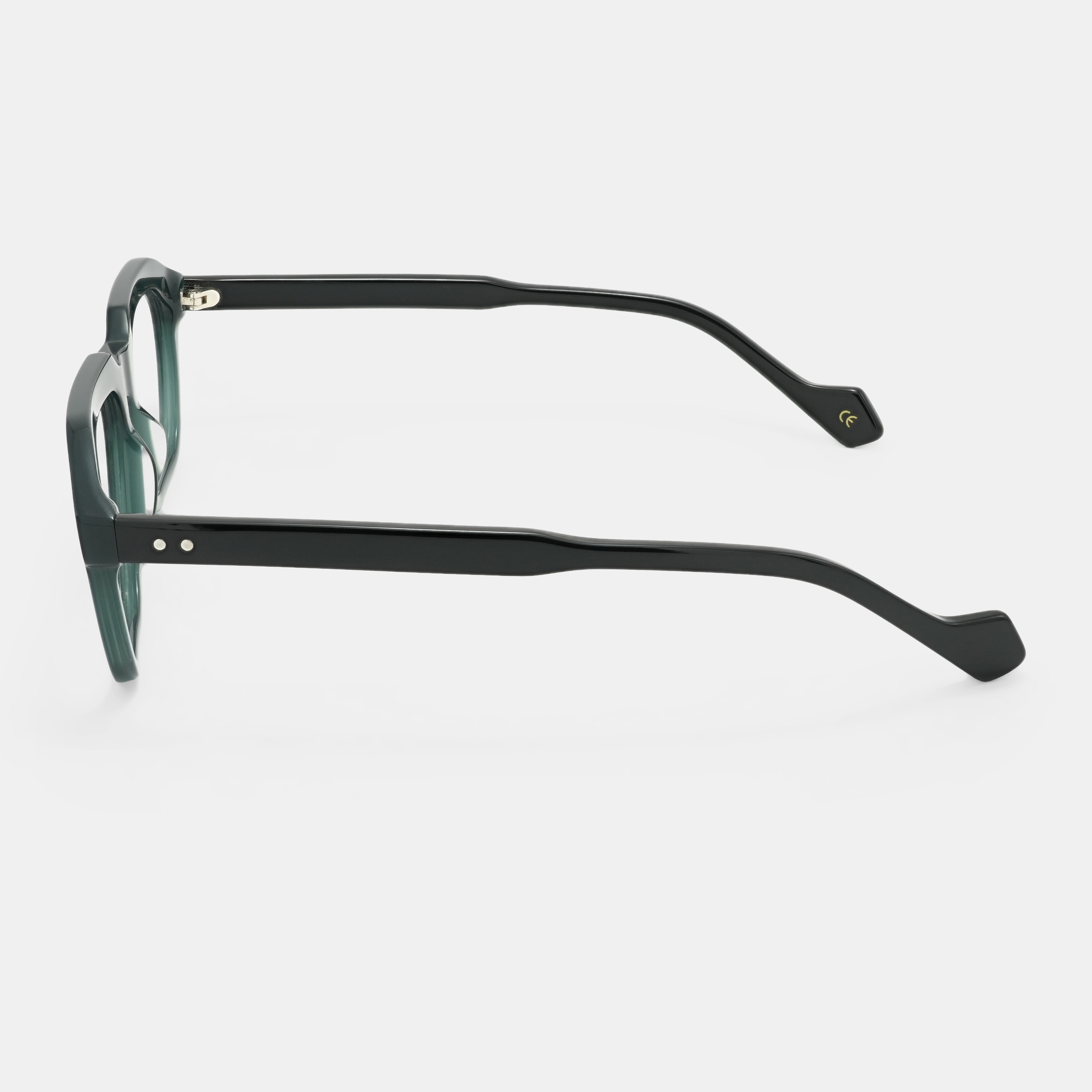 Stylish spectacles