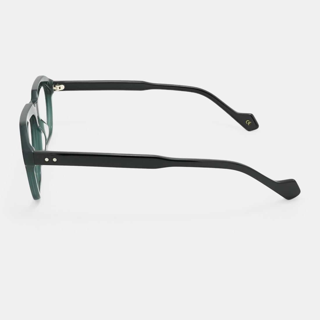 Stylish spectacles