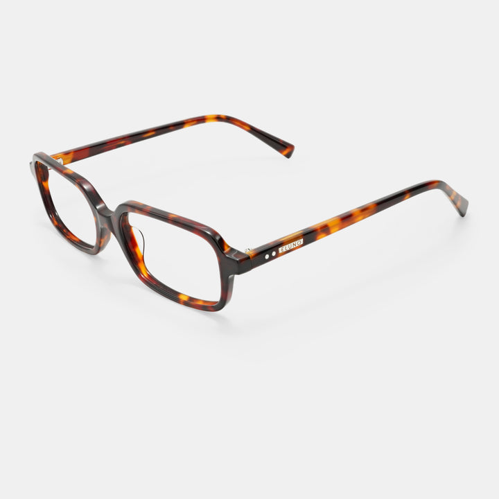 Tortoiseshell Frames