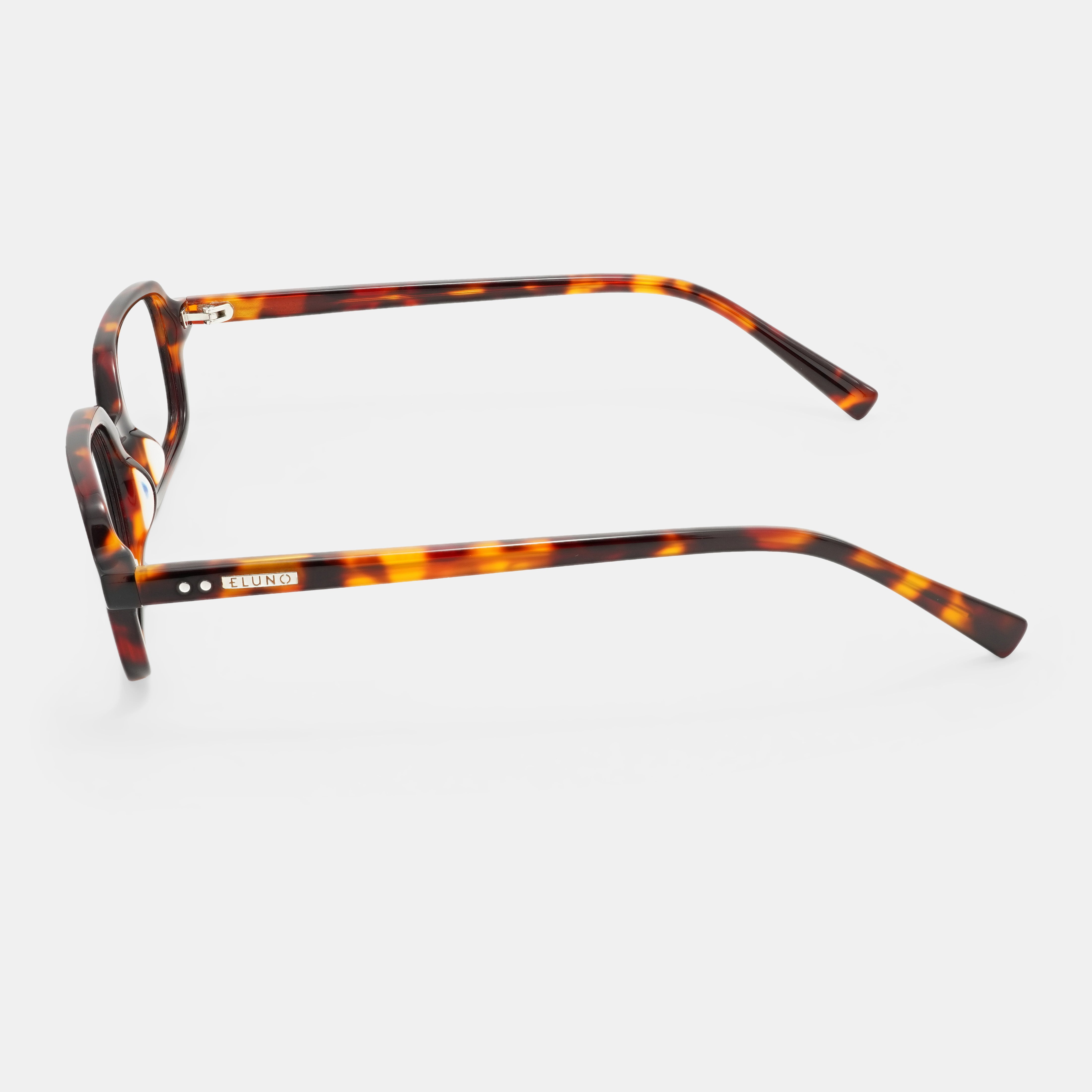 Tortoiseshell Frames