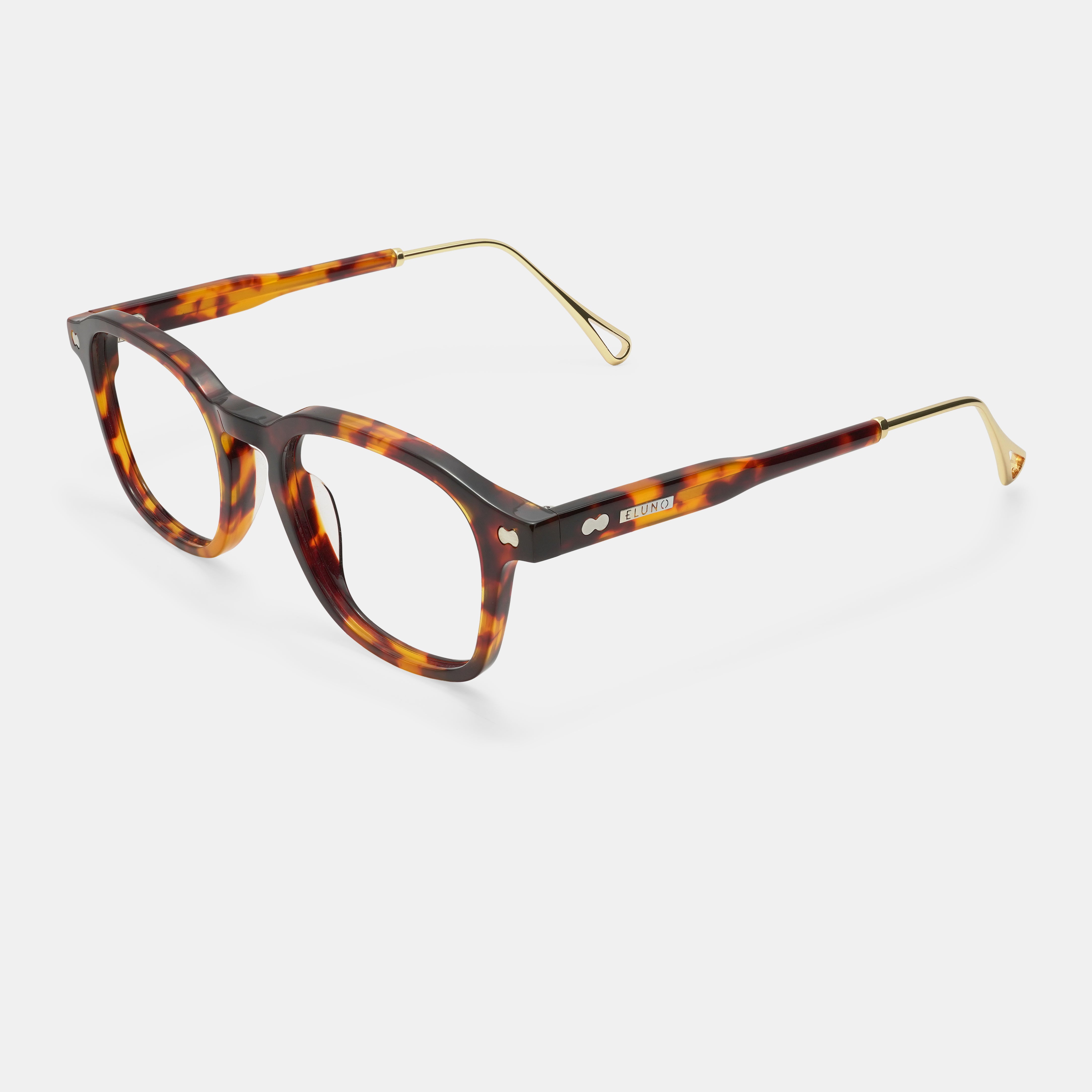 Tortoiseshell frames