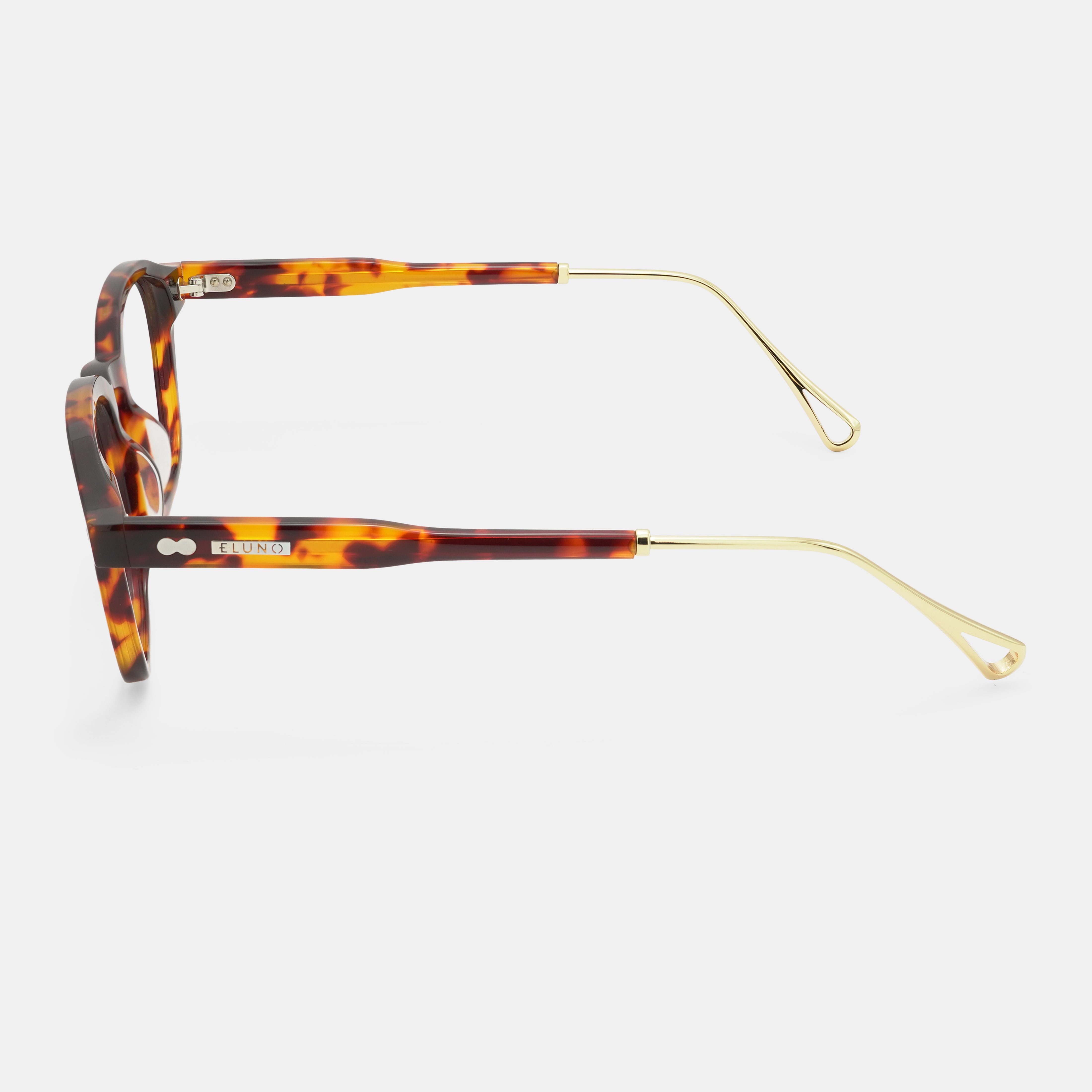 Tortoiseshell frames