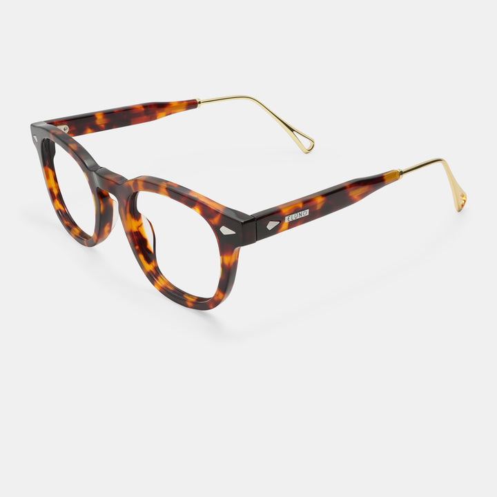 Tortoiseshell Spectacles