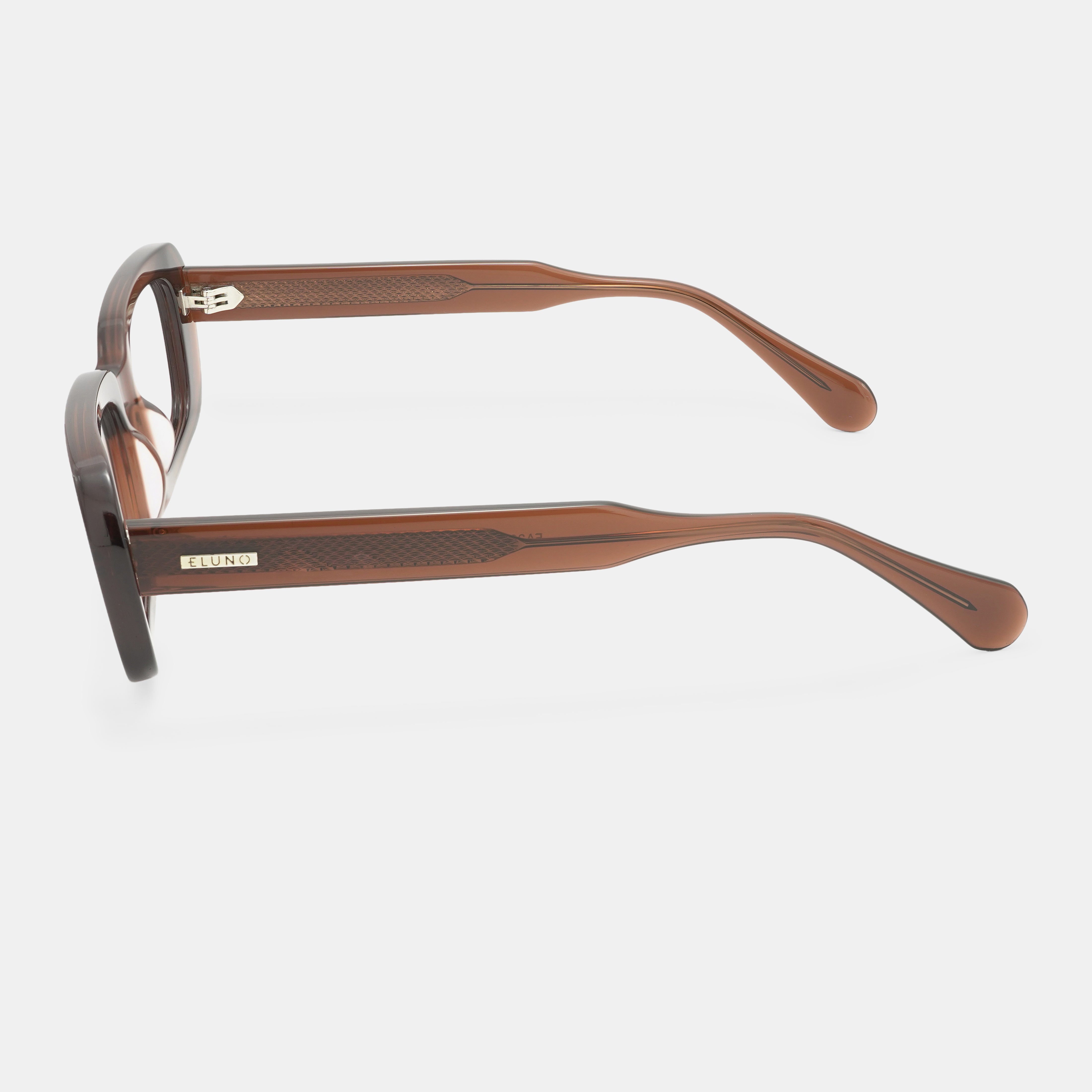 Brown Eyeglasses
