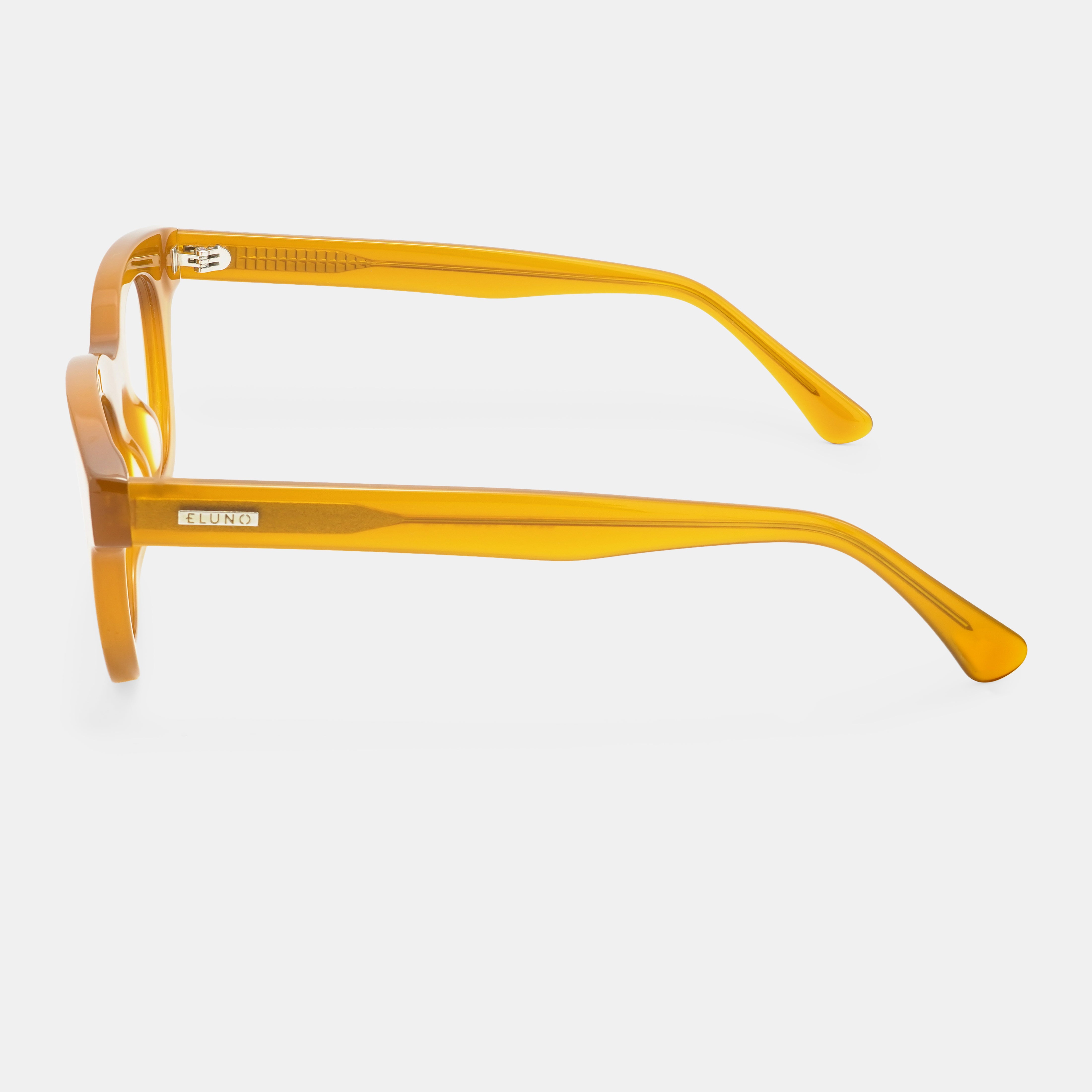 Brown Eyeglasses