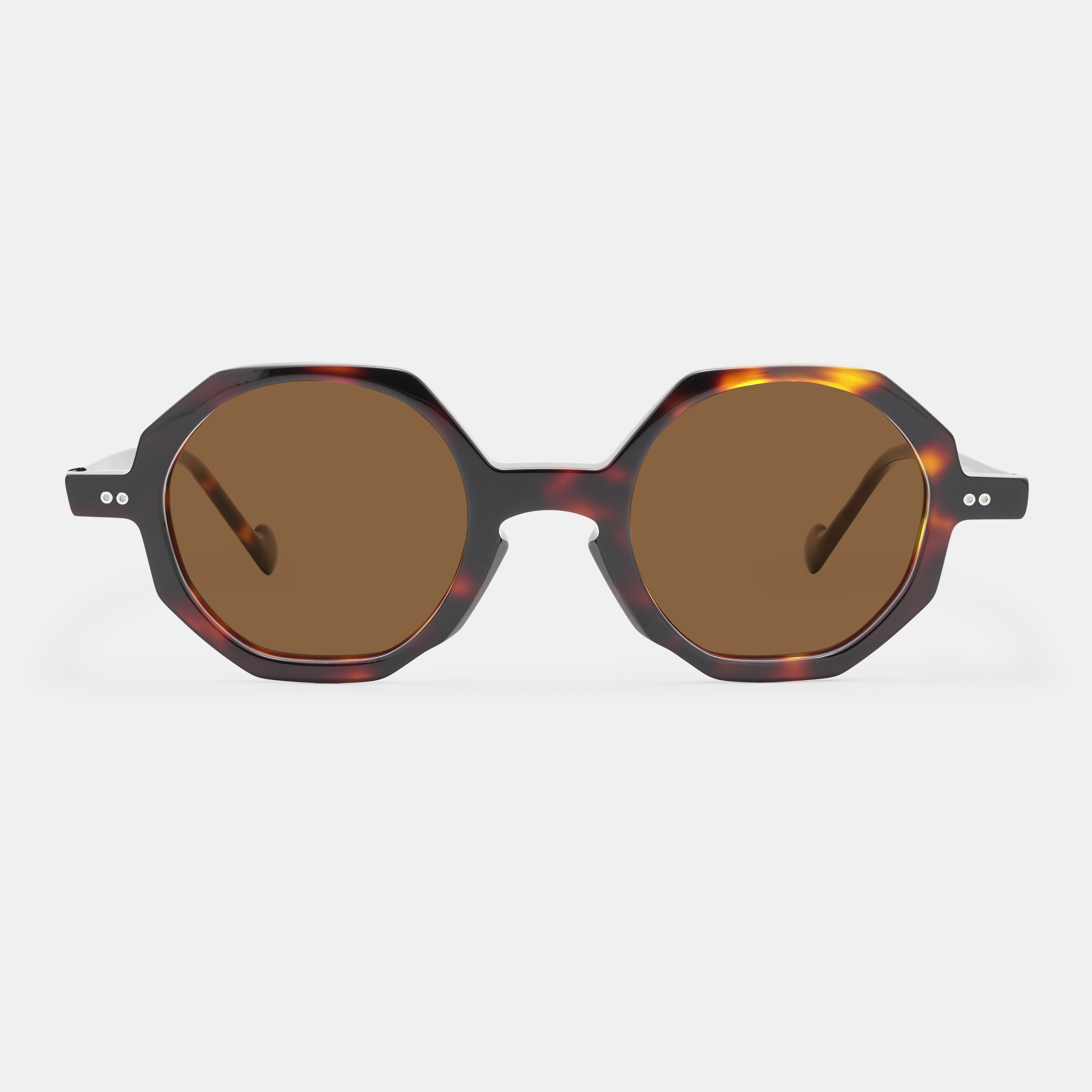 Tortoiseshell Frames