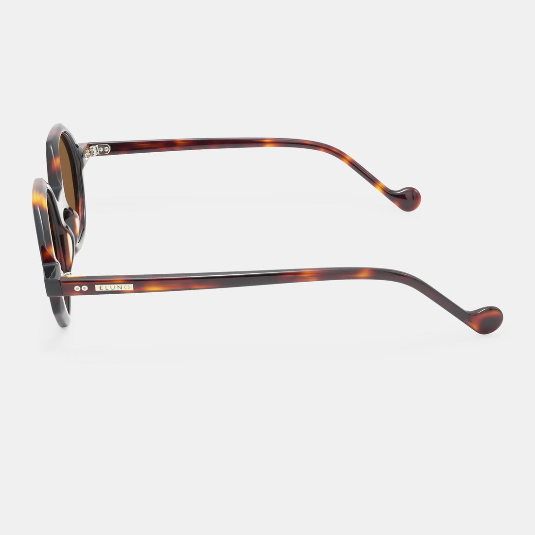 Tortoiseshell Frames