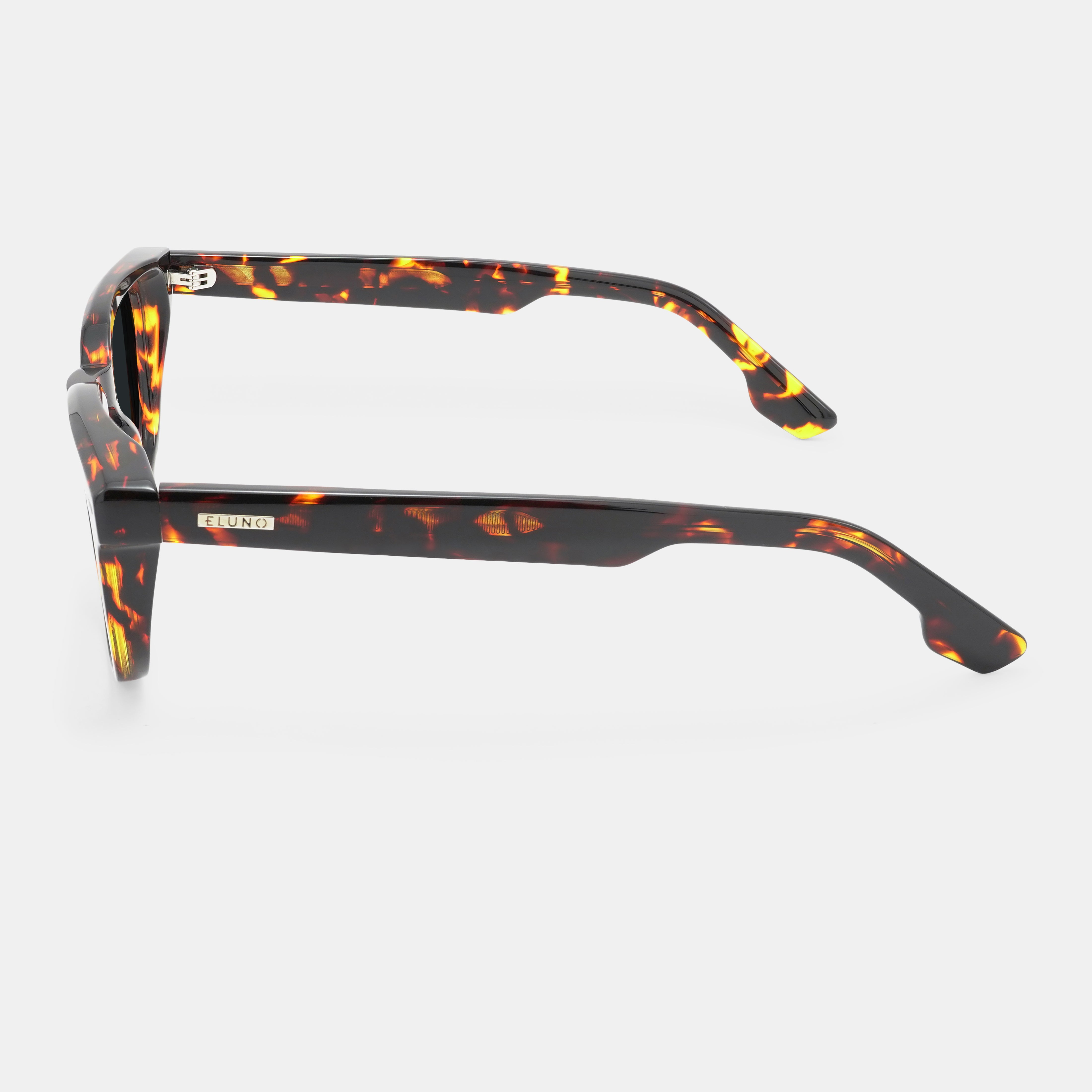 Tortoiseshell Sunglasses