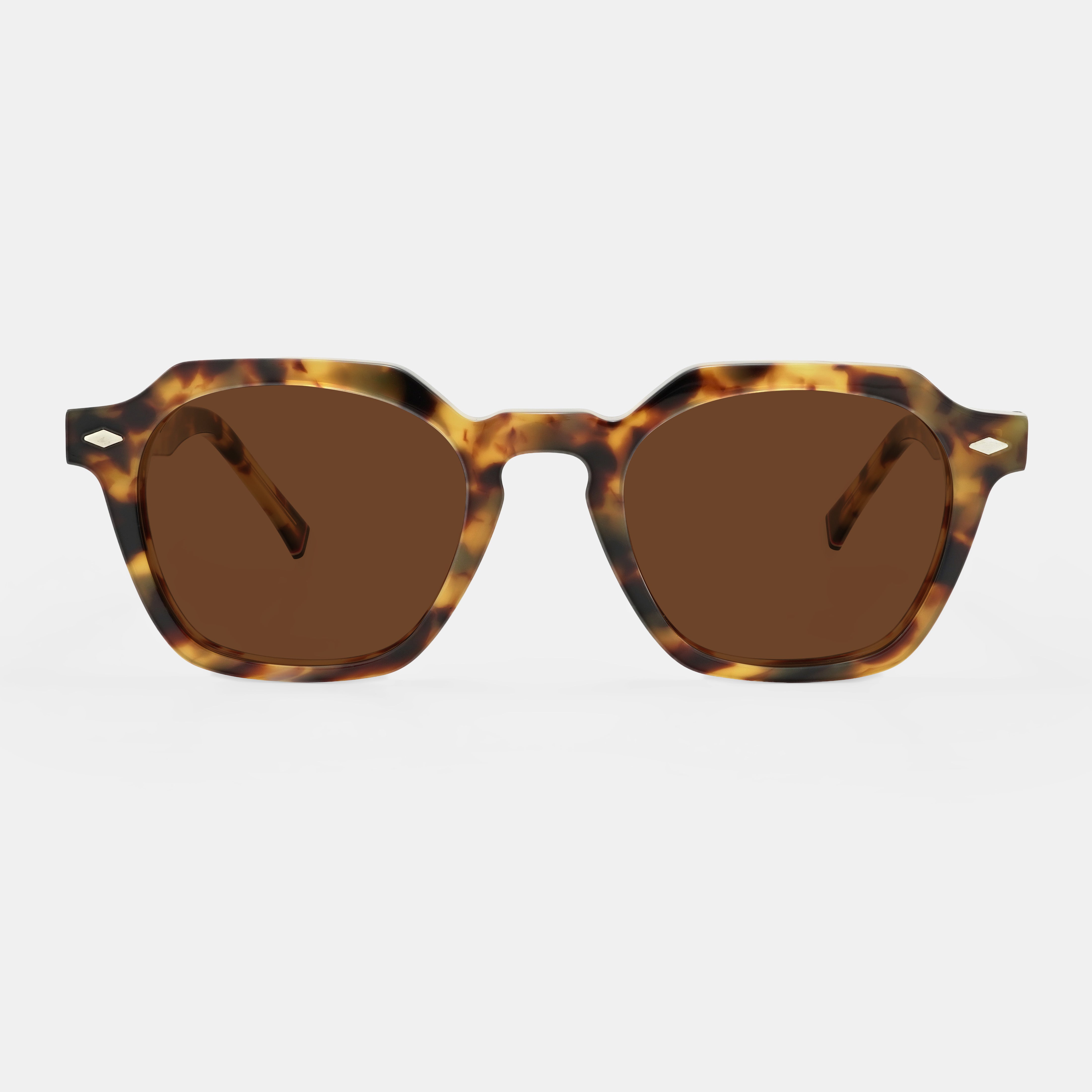 Tortoiseshell Sunglasses