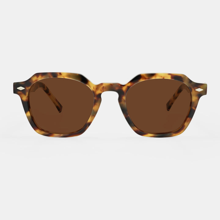 Tortoiseshell Sunglasses