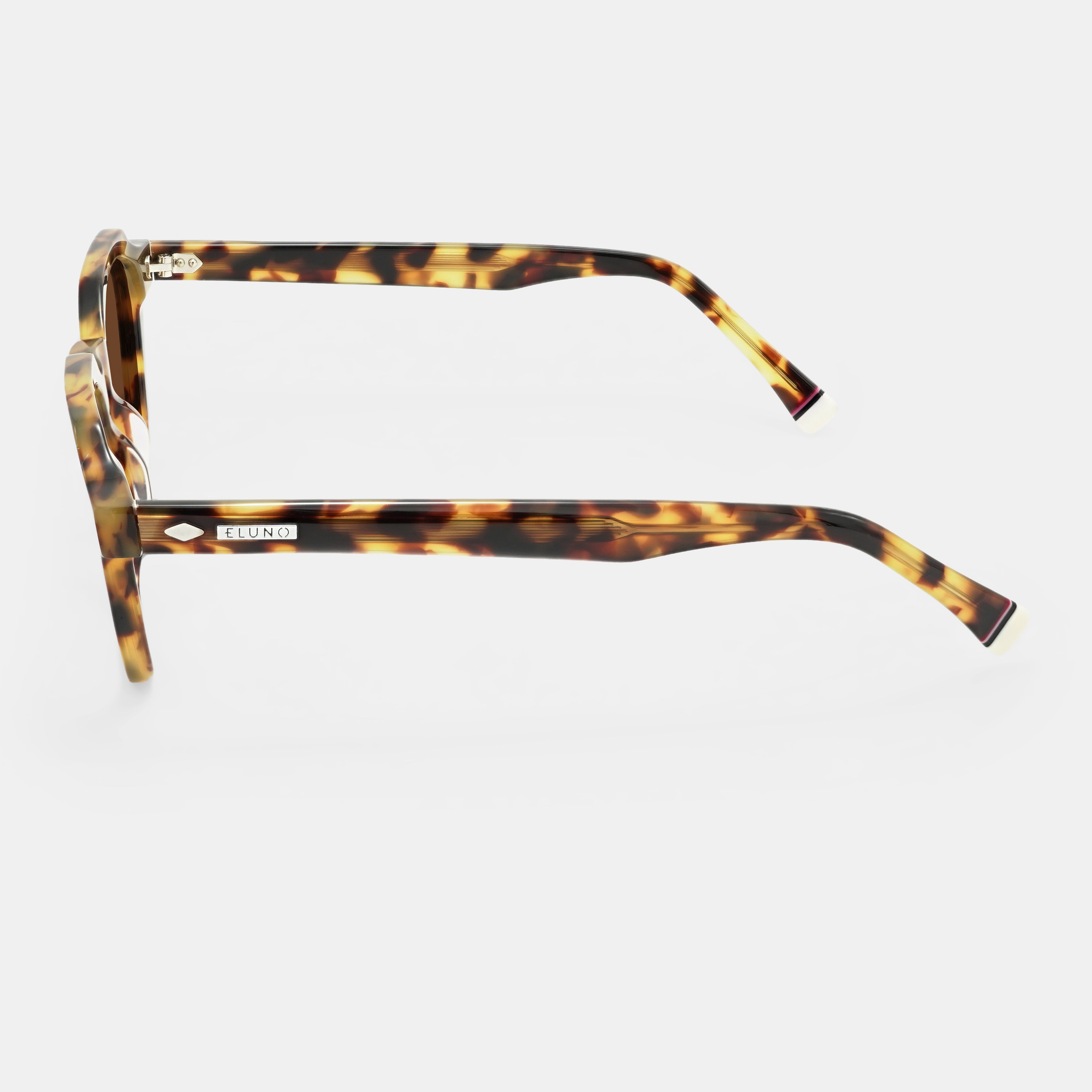 Tortoiseshell Sunglasses