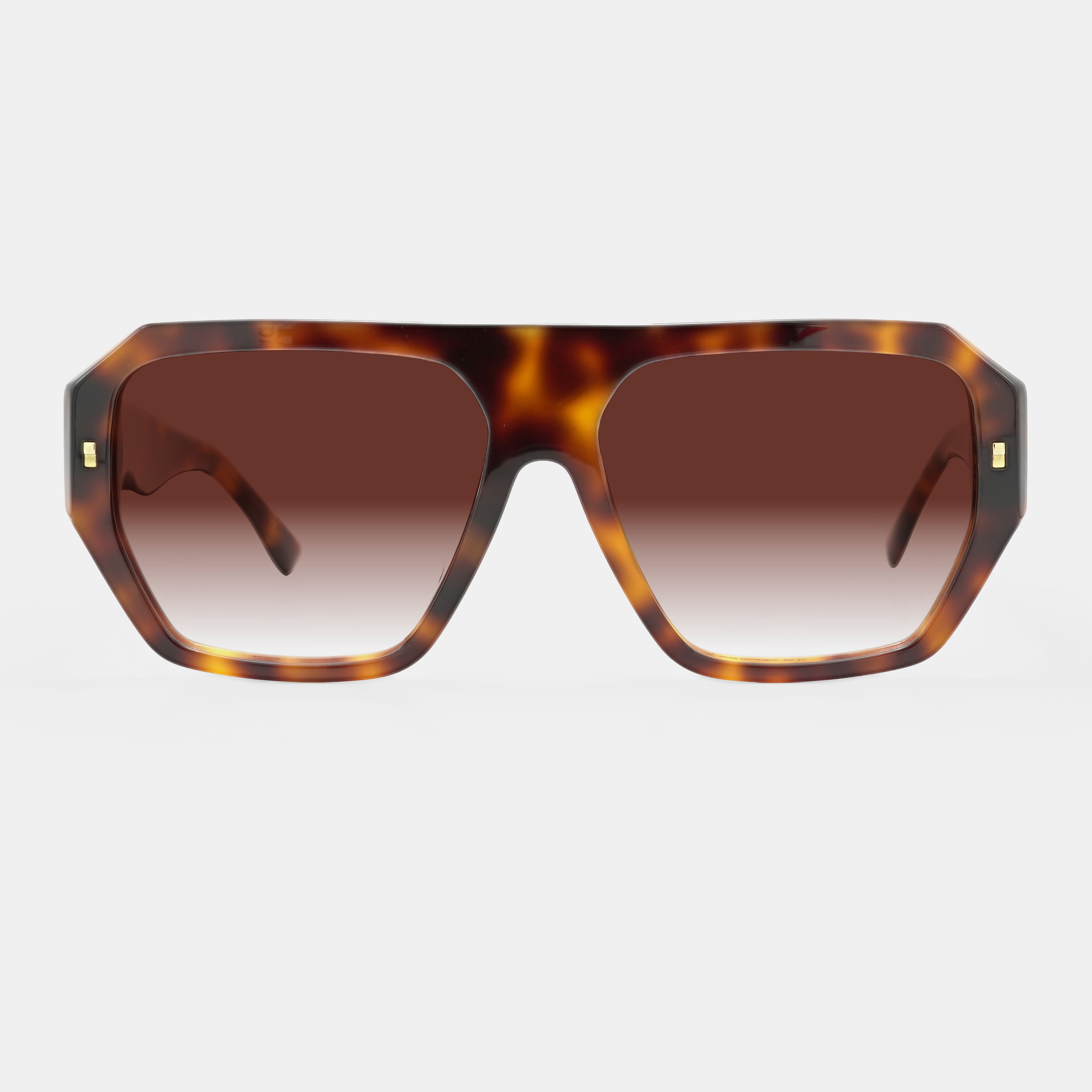 Tortoiseshell Sunglasses