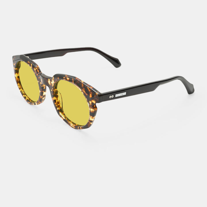 Tortoiseshell Sunglasses