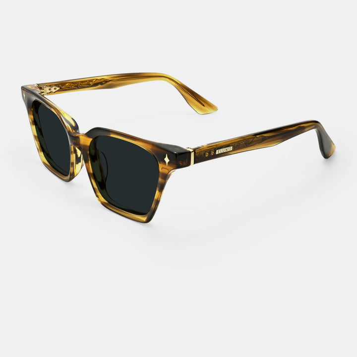 Brown Sunglasses