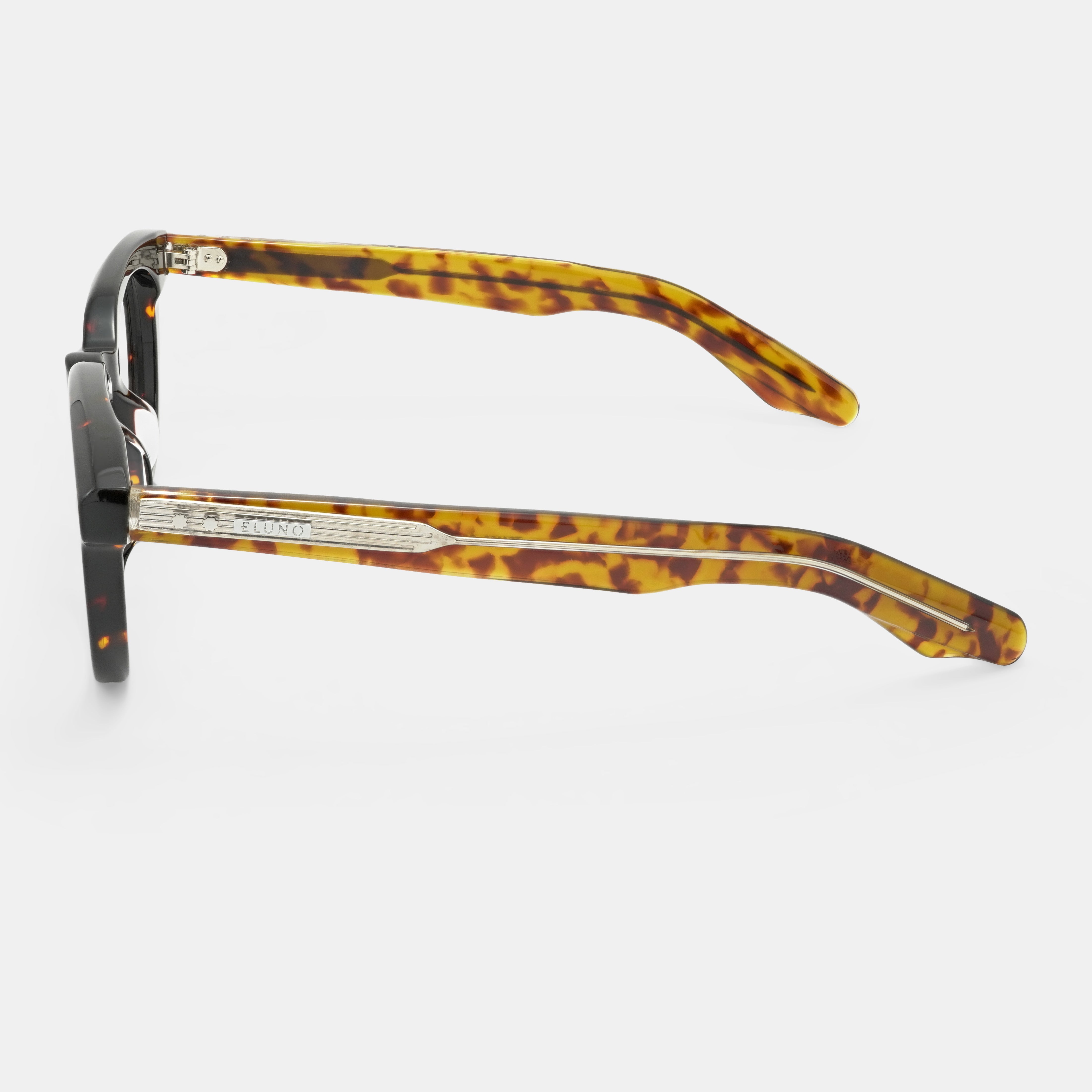 Tortoiseshell Frames