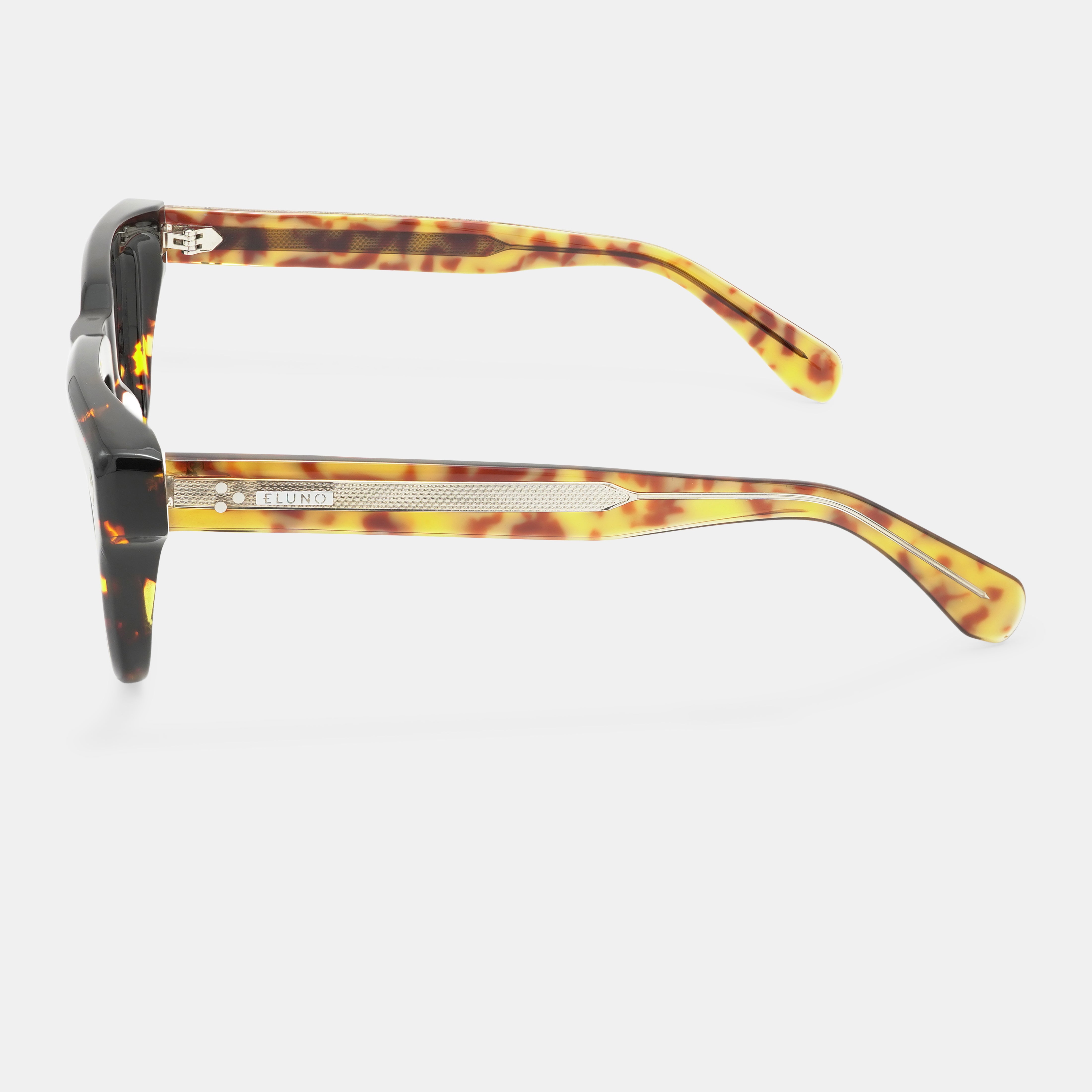 Tortoiseshell frames