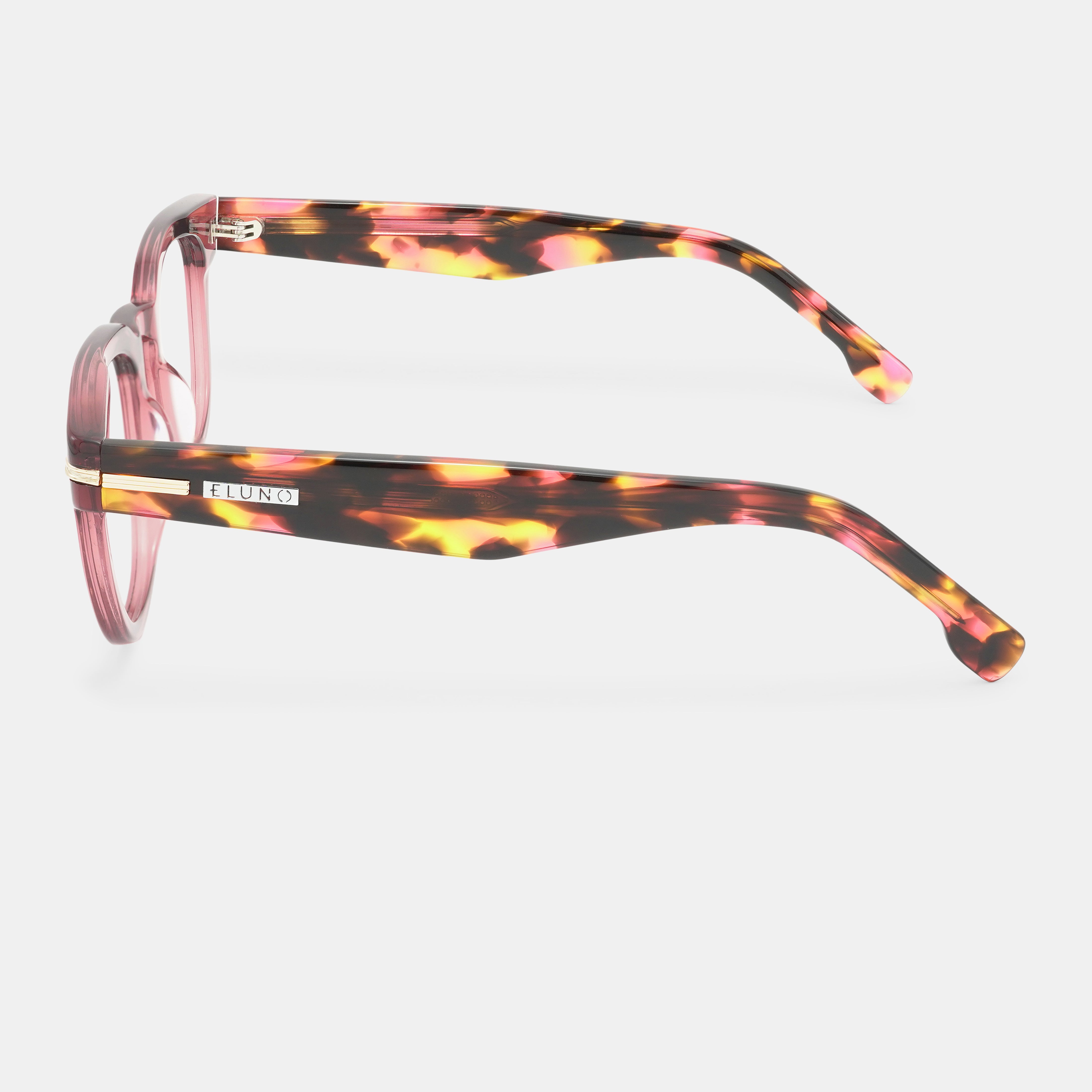Tortoiseshell Eyeglasses