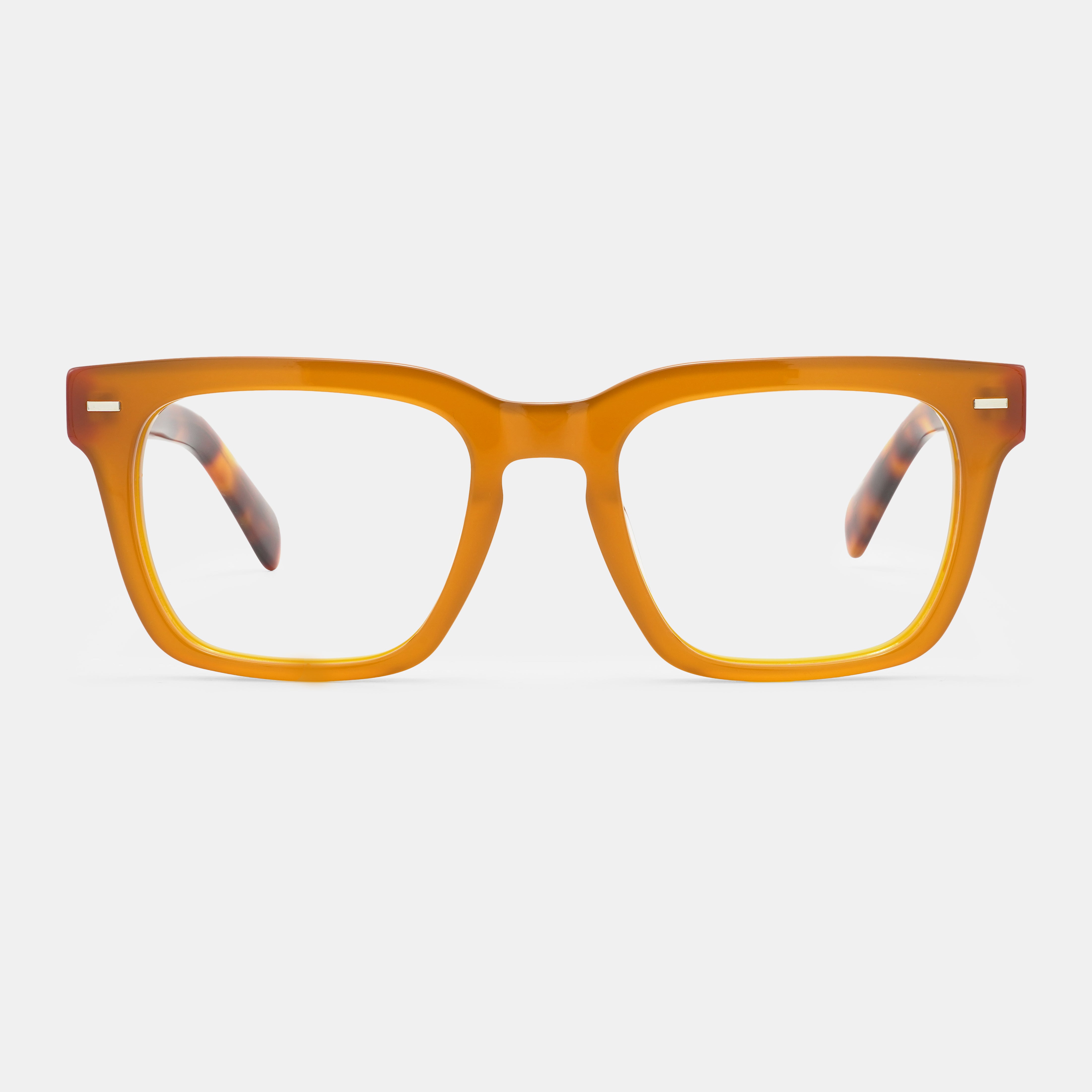 Tortoiseshell frames