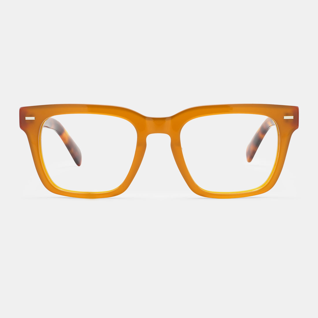 Tortoiseshell frames