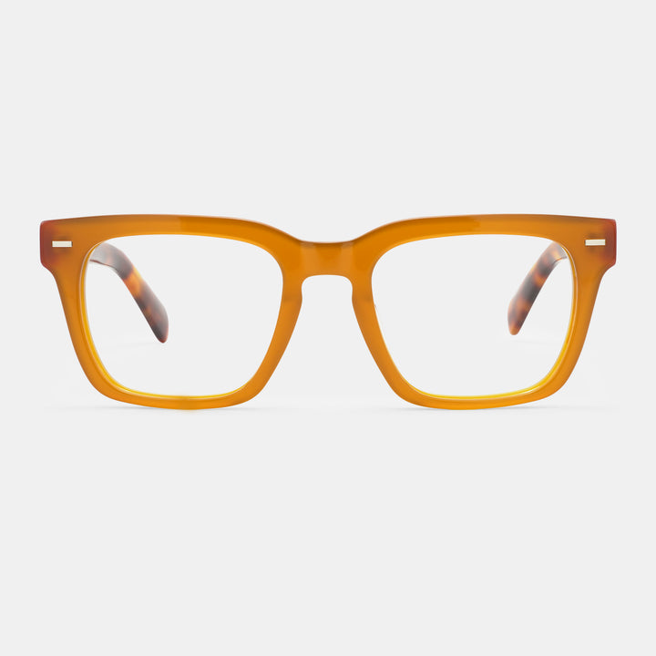 Tortoiseshell frames