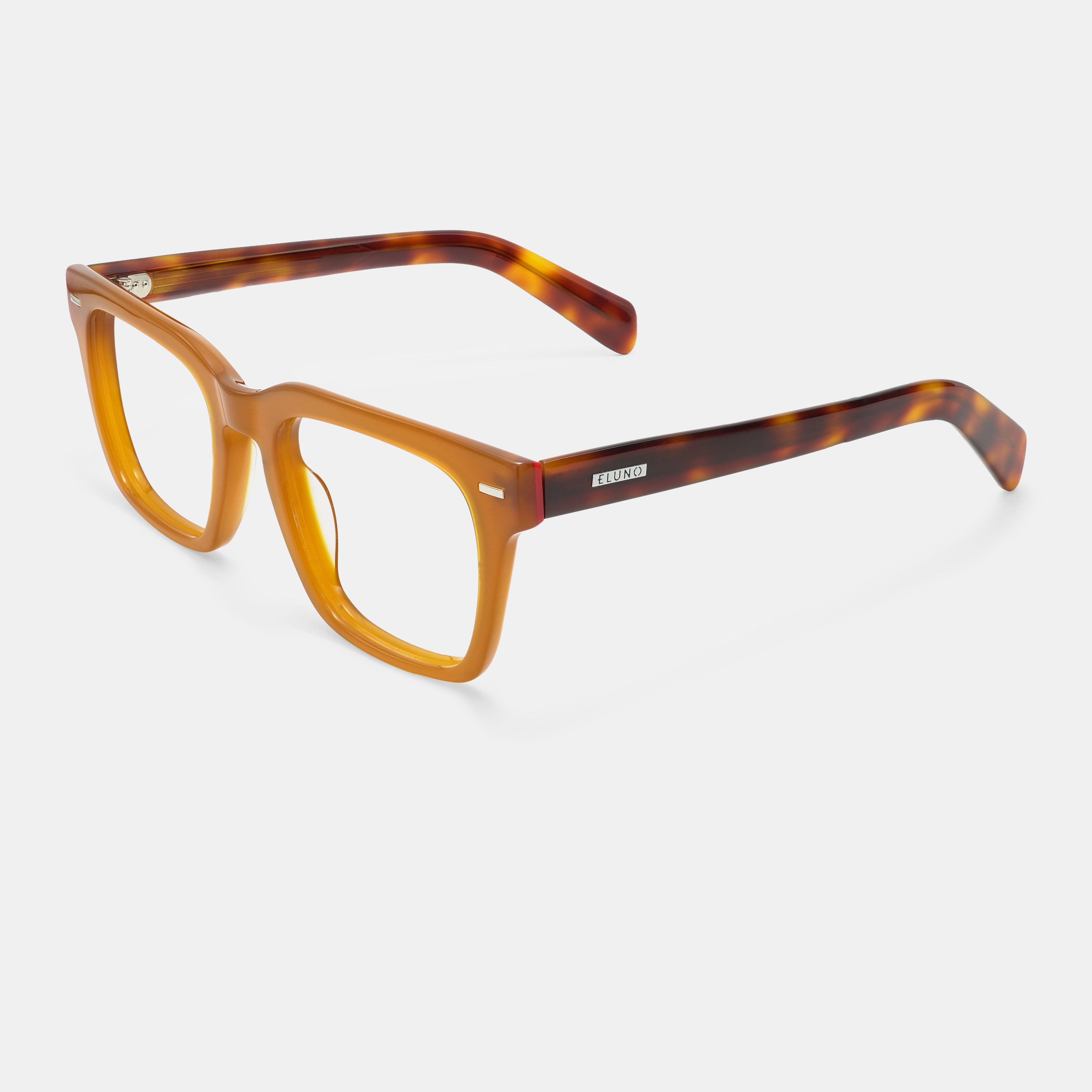 Tortoiseshell frames