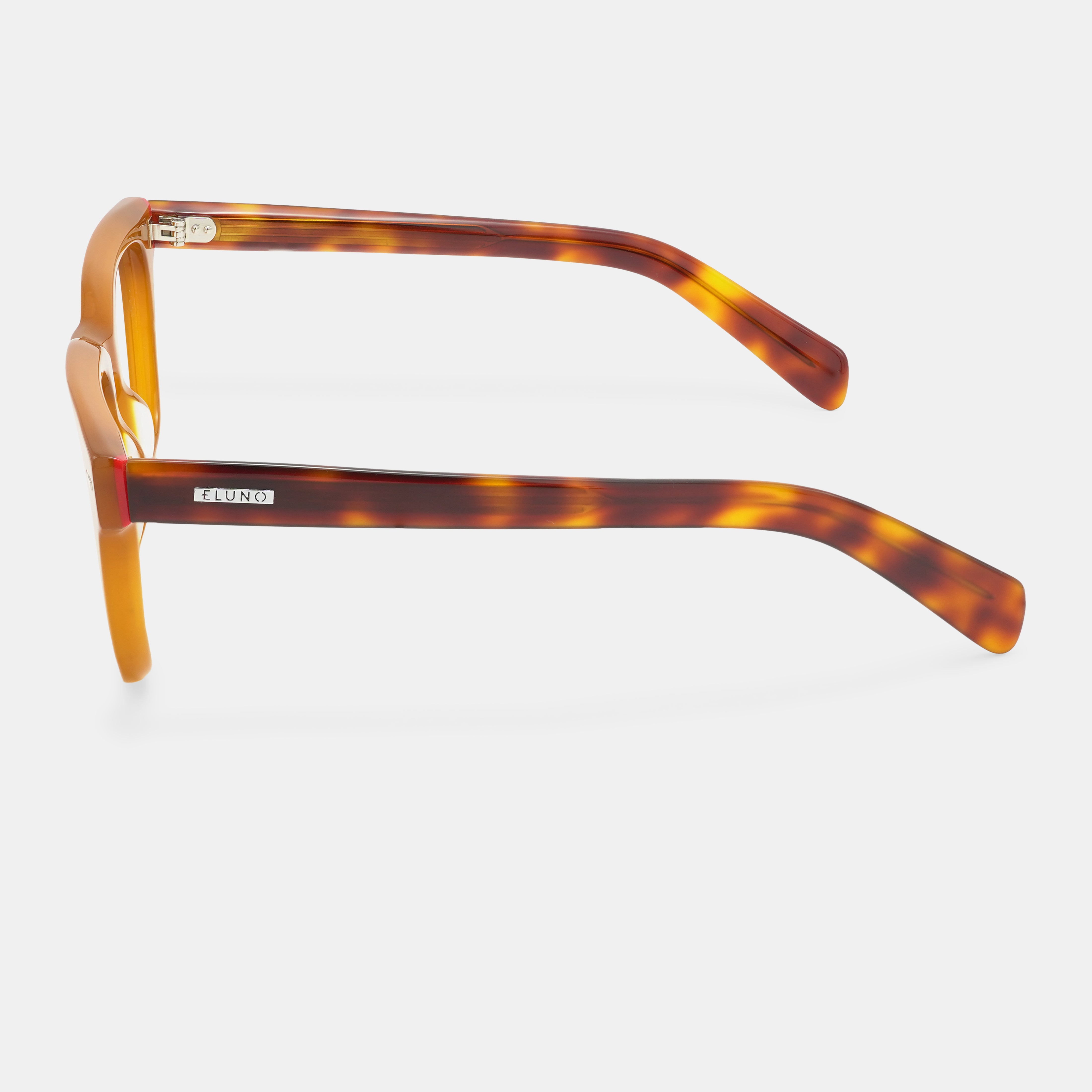 Tortoiseshell frames